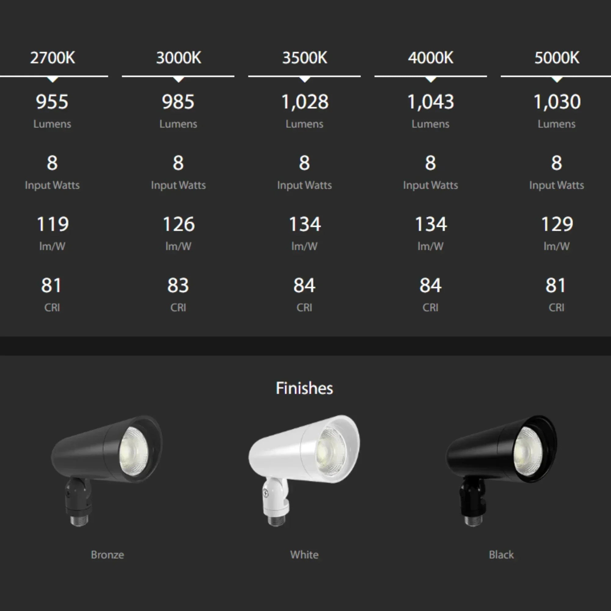 RAB LF34SB Small 8W Selectable Black Floodlight | Bees Lighting