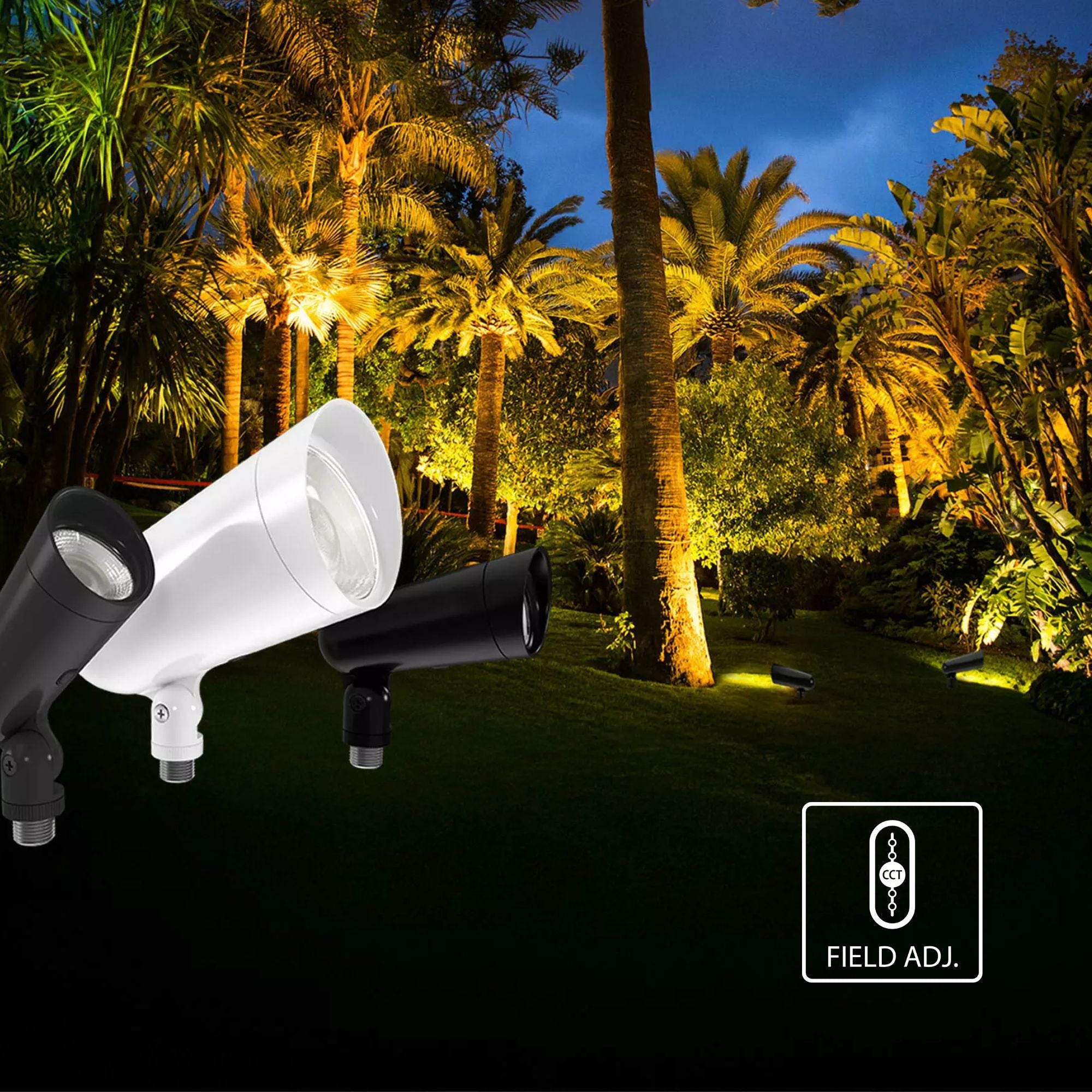 LF34 CCT - 120V LED Adjustable Flood Light, 33W, Black - Bees Lighting