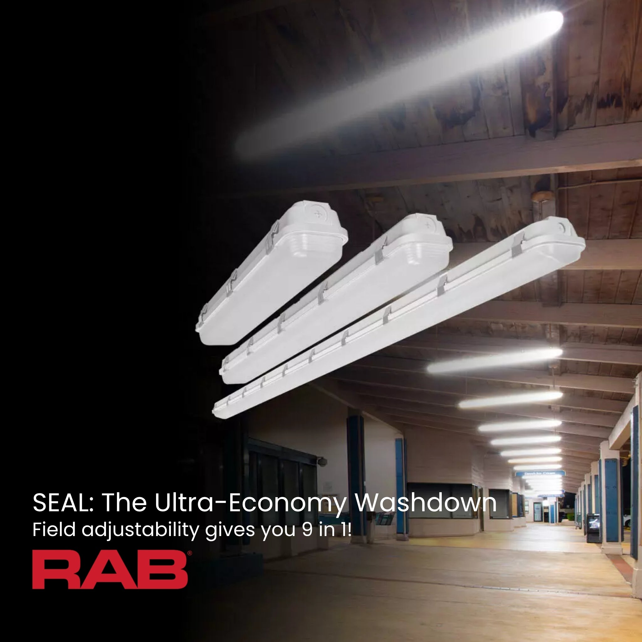 RAB SEAL4/E 4ft LED Linear Washdown 6800lm 30/40/50W Selectable 35K/40K/50K 120-277V Battery Backup