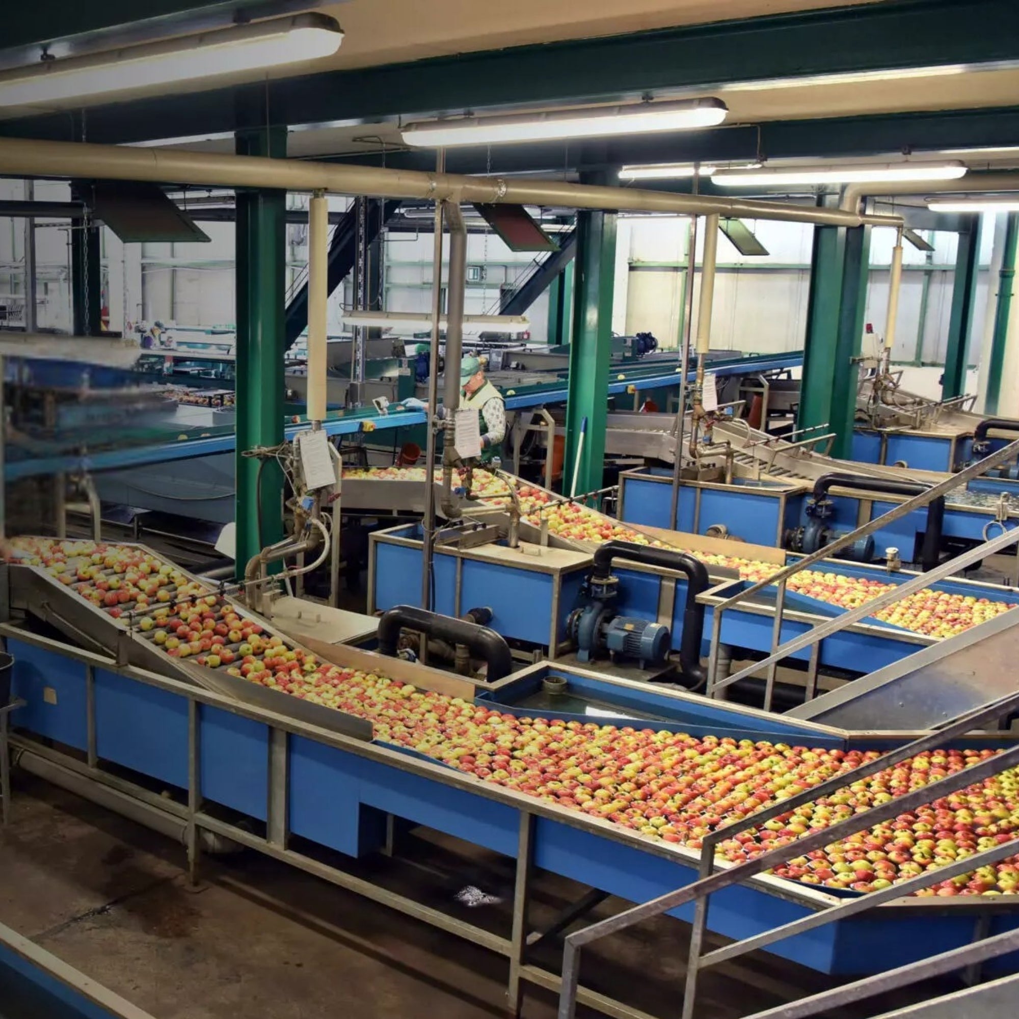 RAB SEAL4 4ft LED Vapor Tight Fixture 6,800 Lumens 30W/40W/50W 3500K/4000K/5000K 120-277V Gray