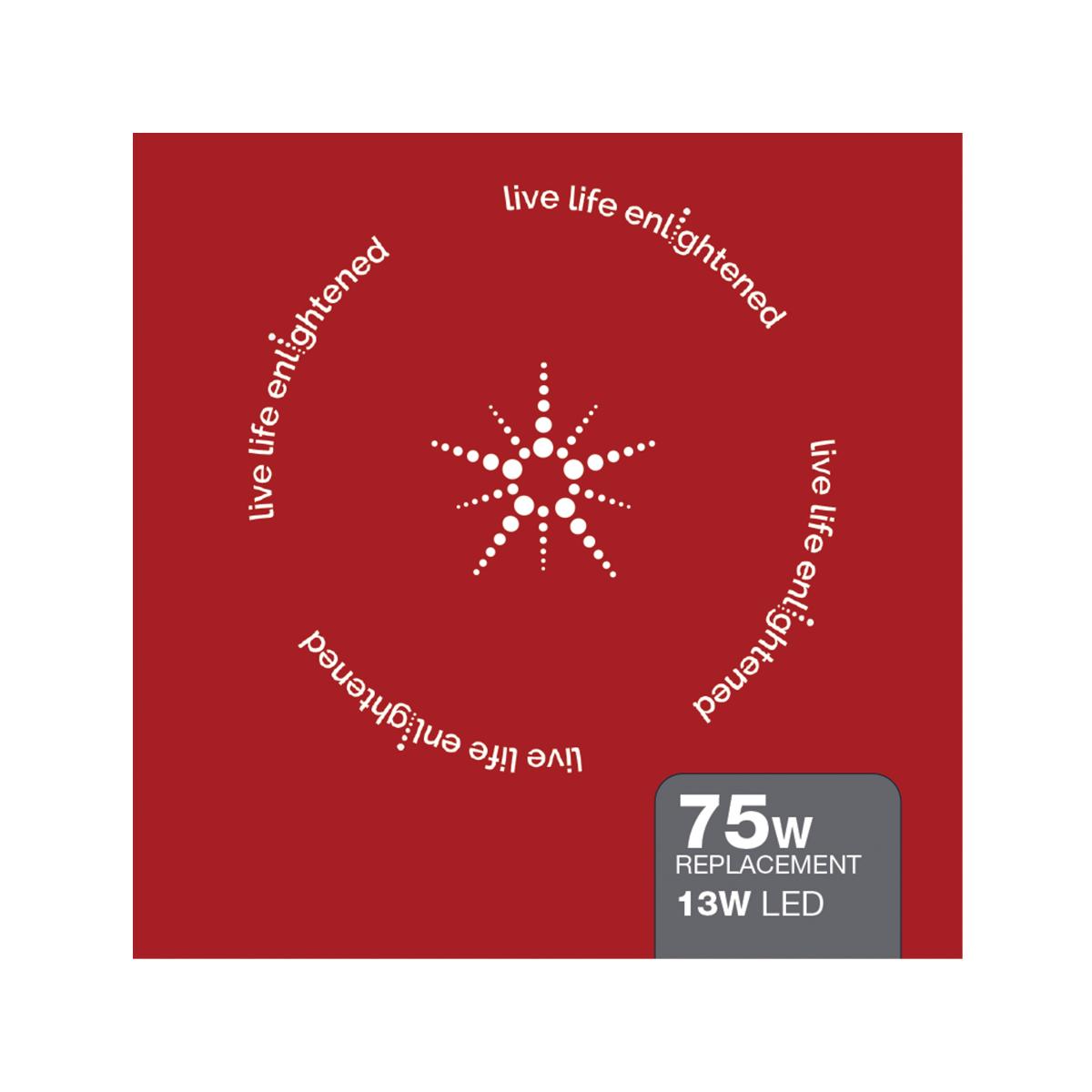 Starfish A21 Wi-Fi Smart LED Bulb, 13W, 1100 Lumens, RGB & Tunable White, Frosted, T20 Compliant - Bees Lighting