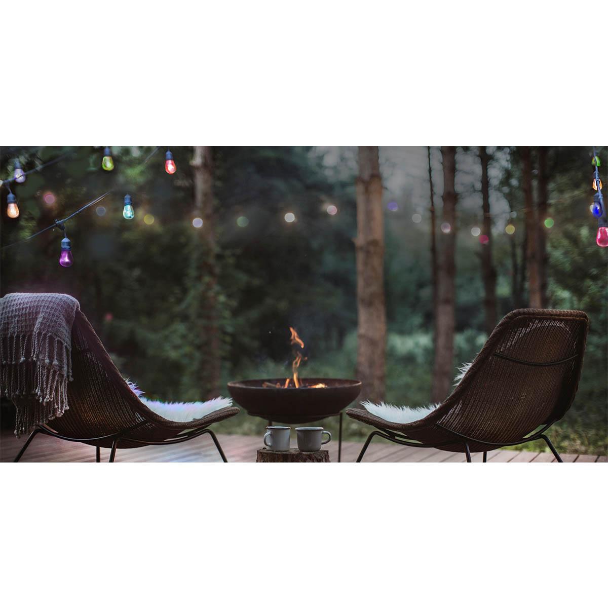 Starfish WiFi Smart Indoor/Outdoor LED String Light, 12-S14 Bulbs, Tunable White