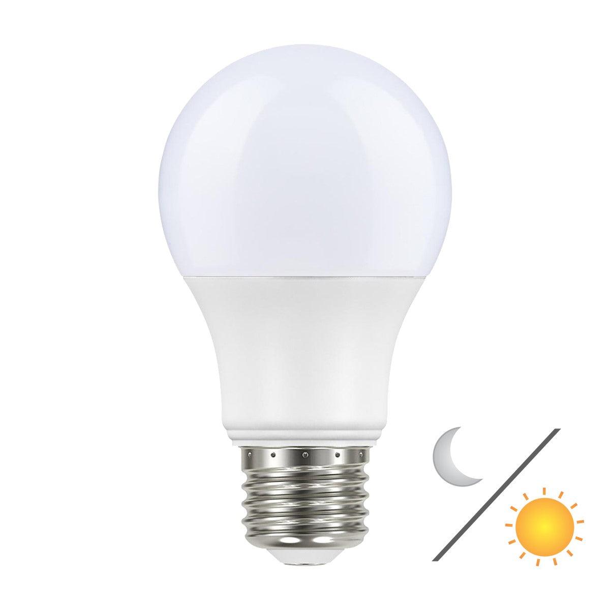 A19 LED Bulb, 100W Equivalent, 8 Watt, 800 Lumens, 2700K, E26 Medium Base, Frosted Finish - Bees Lighting