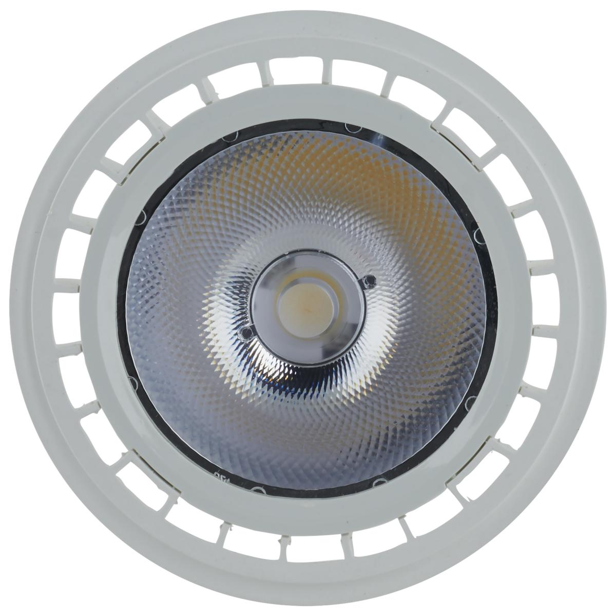 AR111 LED Bulb, 12 Watts, 850 Lumens, 3000K, G53 Base, 12° Narrow Spot, 12V - Bees Lighting