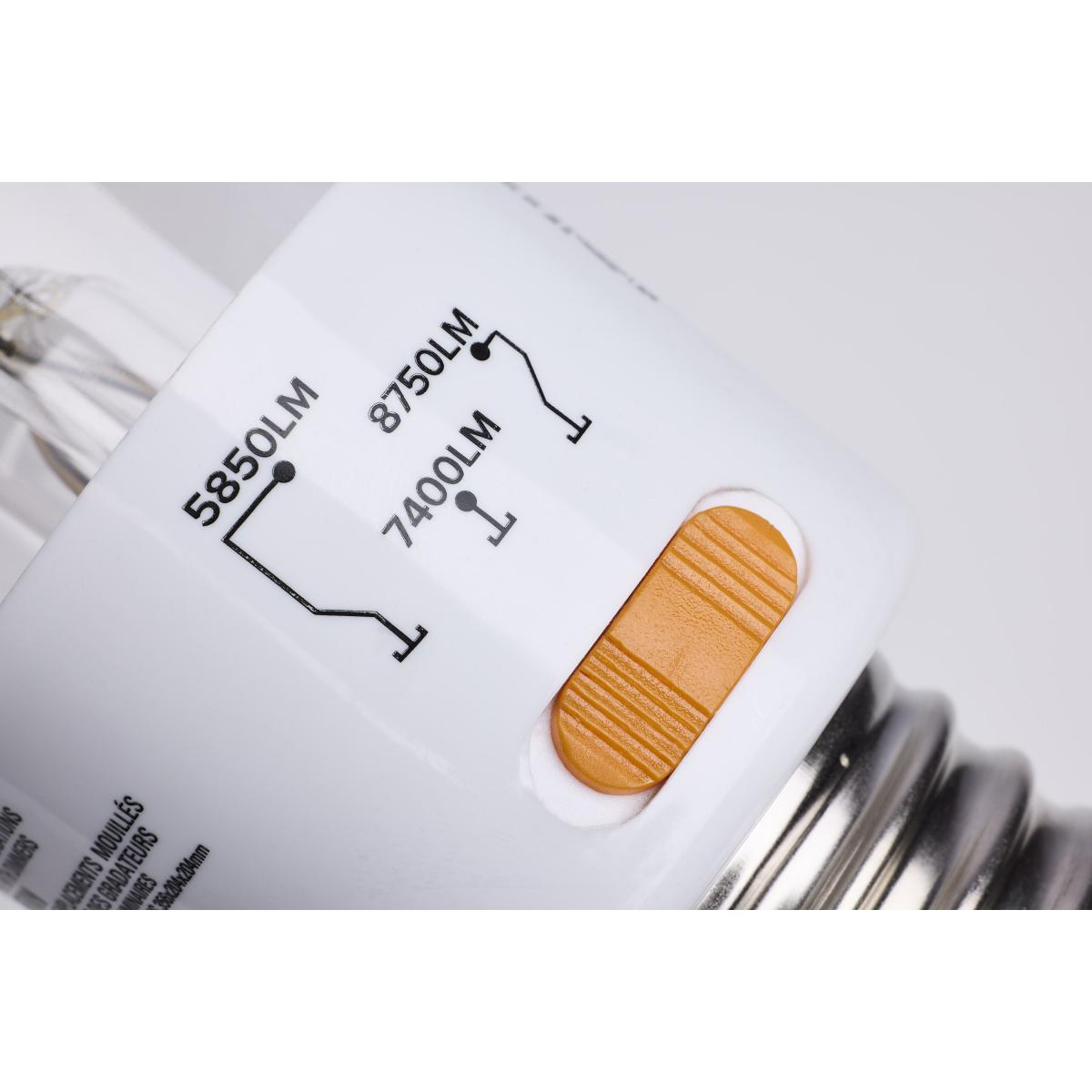 ED28 HID Replacement Lamp, 30W|38W|45W, 8750 Lm, 5000K, 320W MH Equal, EX39 Mogul, 120-277V - Bees Lighting