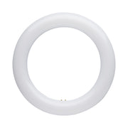Satco LED Circline Lamps - G10Q Base, CCT Selectable - Bees Lighting