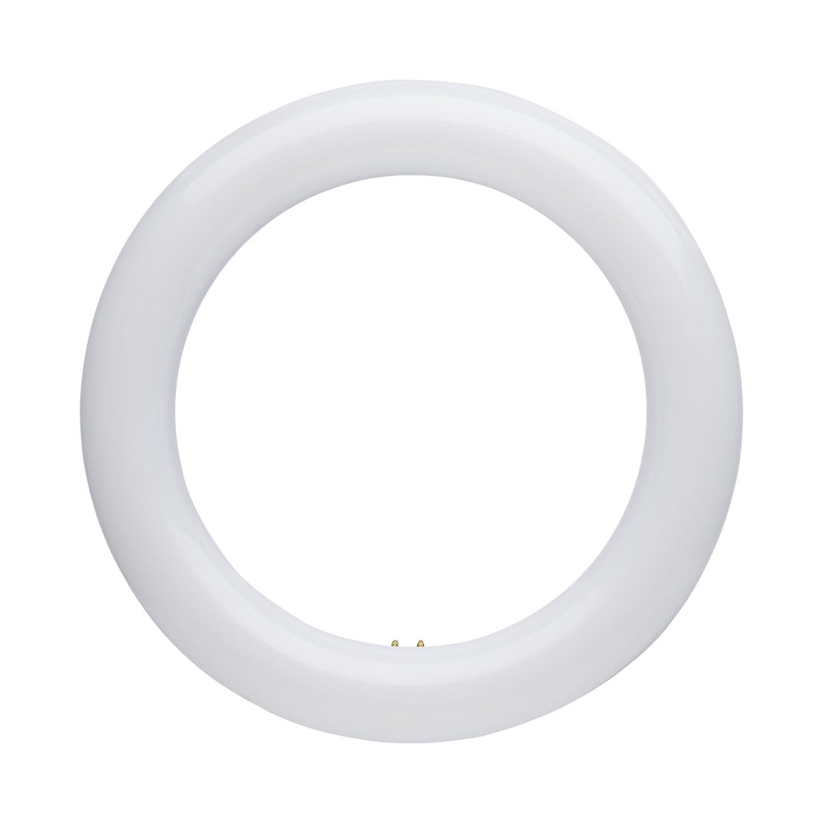 Satco LED Circline Lamps - G10Q Base, CCT Selectable - Bees Lighting