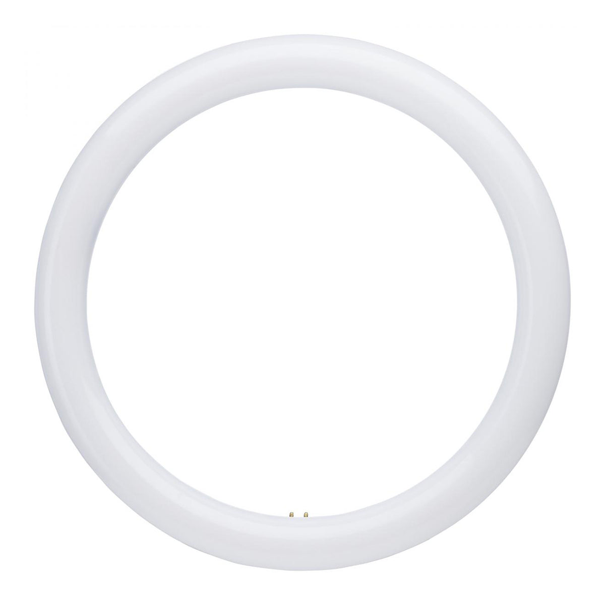 Satco LED Circline Lamps - G10Q Base, CCT Selectable - Bees Lighting