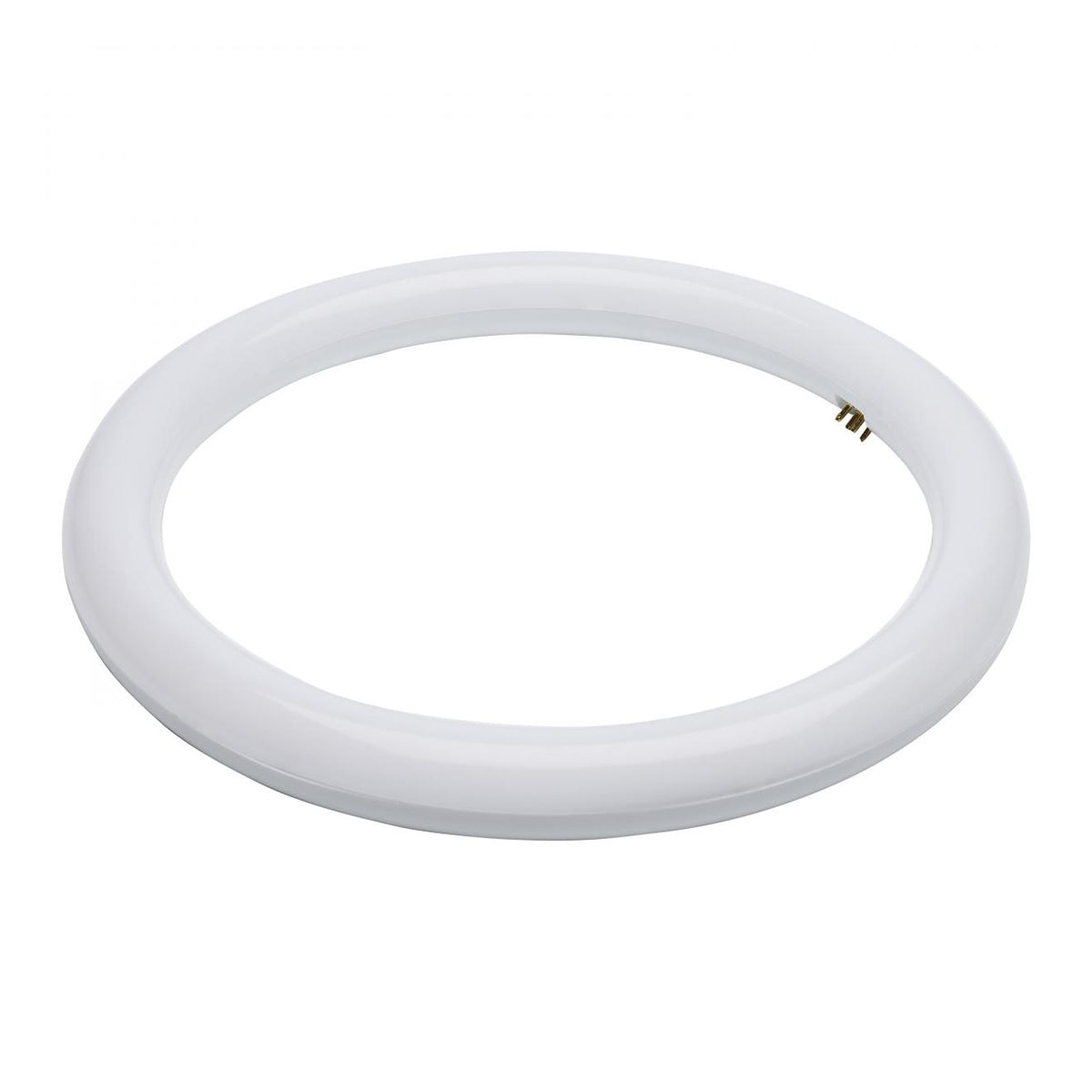 Satco LED Circline Lamps - G10Q Base, CCT Selectable - Bees Lighting