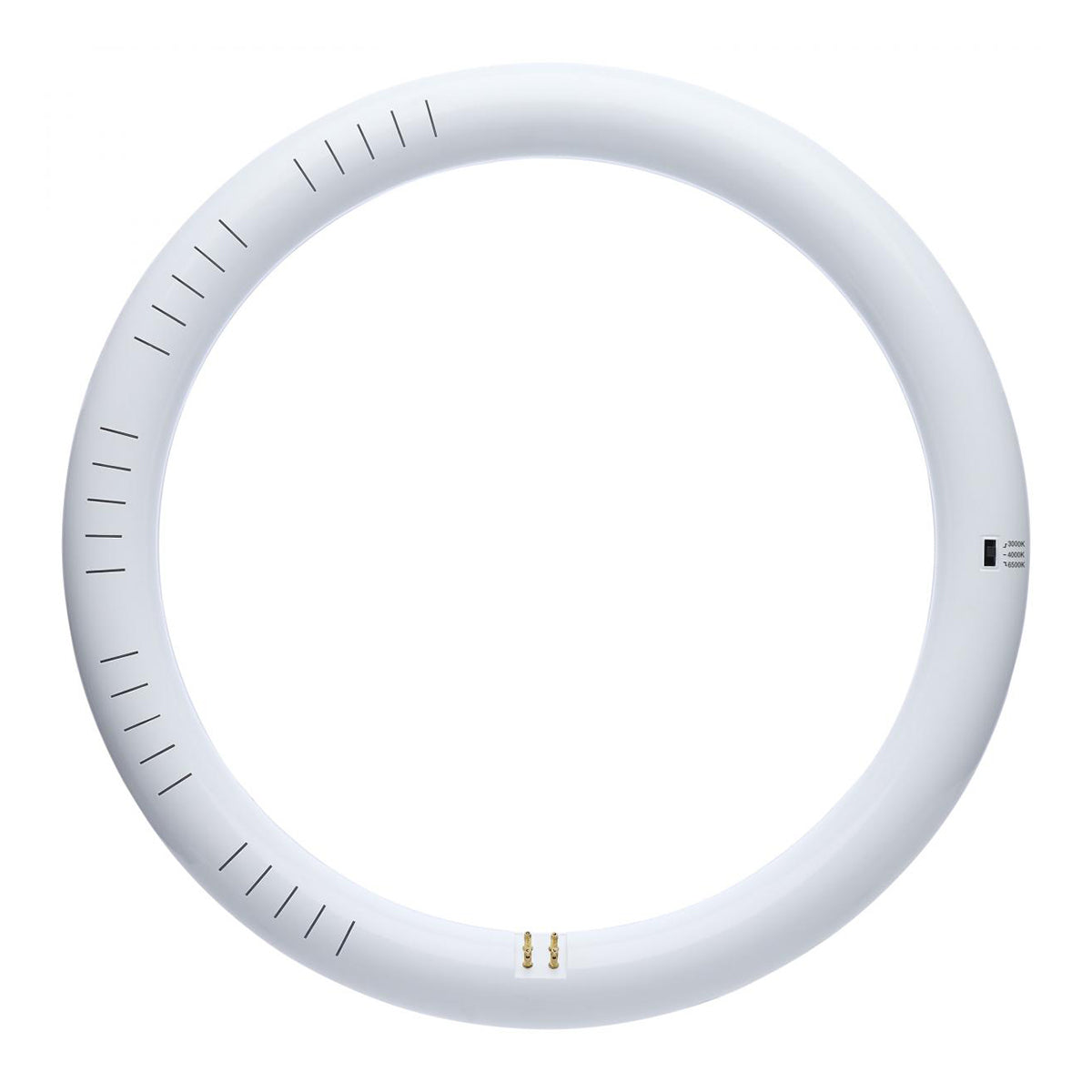 LED T9 Circline Tube, 12 in. FC12T9 Replacement, 2000 Lumens, 30K|40K|65K, Type A+B, G10Q Base - Bees Lighting