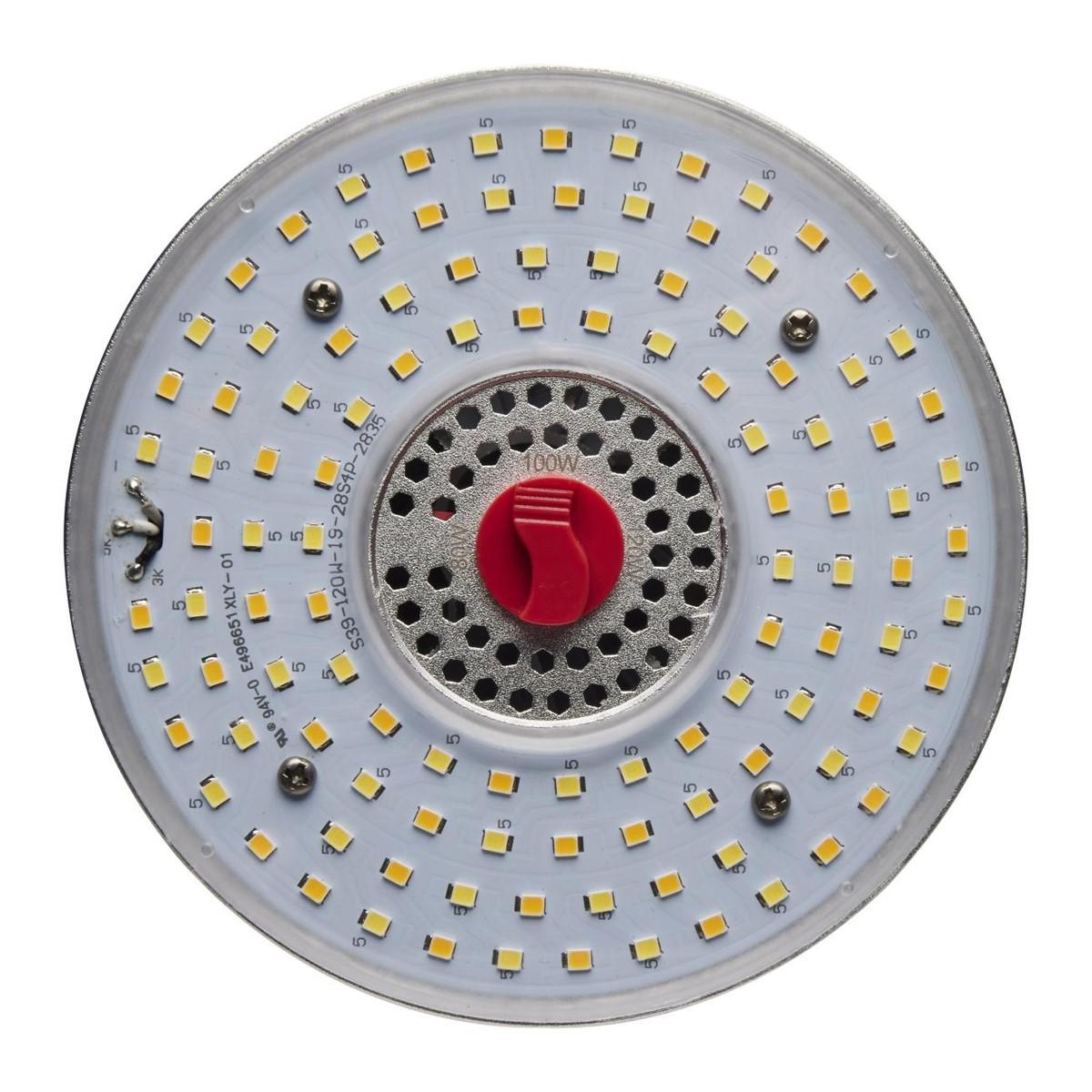 Hi-Pro Retrofit LED Corn Bulb, 80W|100W|120W, 16800lm, 30K|40K|50K, EX39 Mogul, 120-277V - Bees Lighting