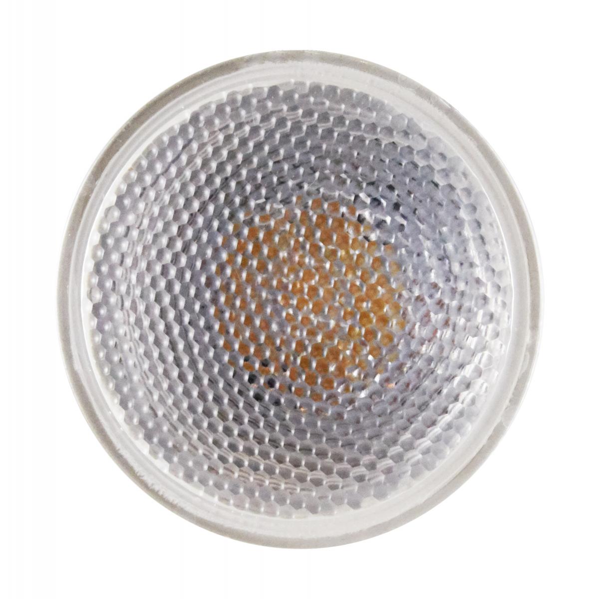 PAR20 LED Bulb, 6 Watts, 520 Lumens, 50W Equal, 5000K, E26 Medium Base, 40° Flood - Bees Lighting