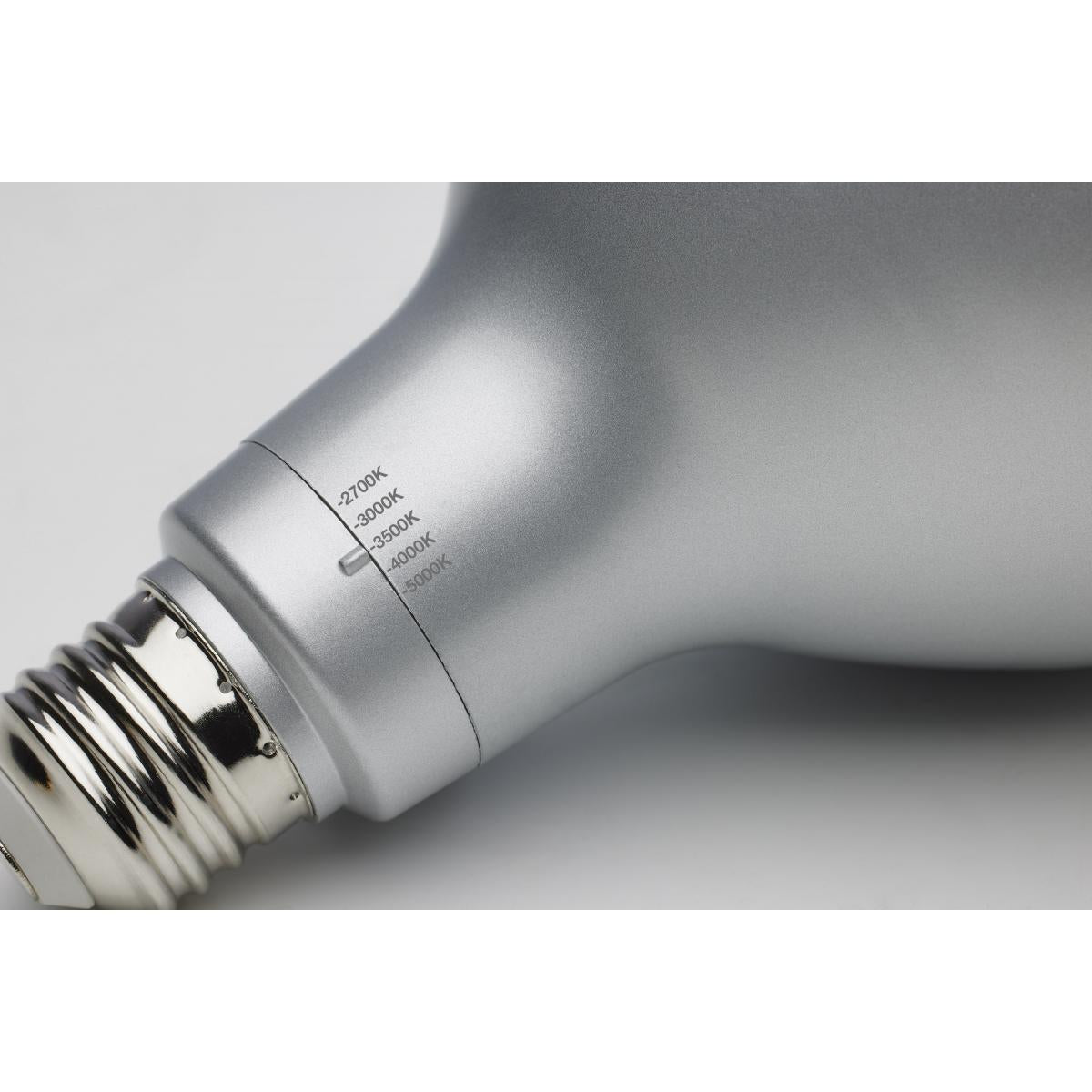 PAR38 LED Bulb, 21W, 3000 Lumens, Selectable 2700K to 5000K, E26 Base, 40° Flood, 120V - Bees Lighting