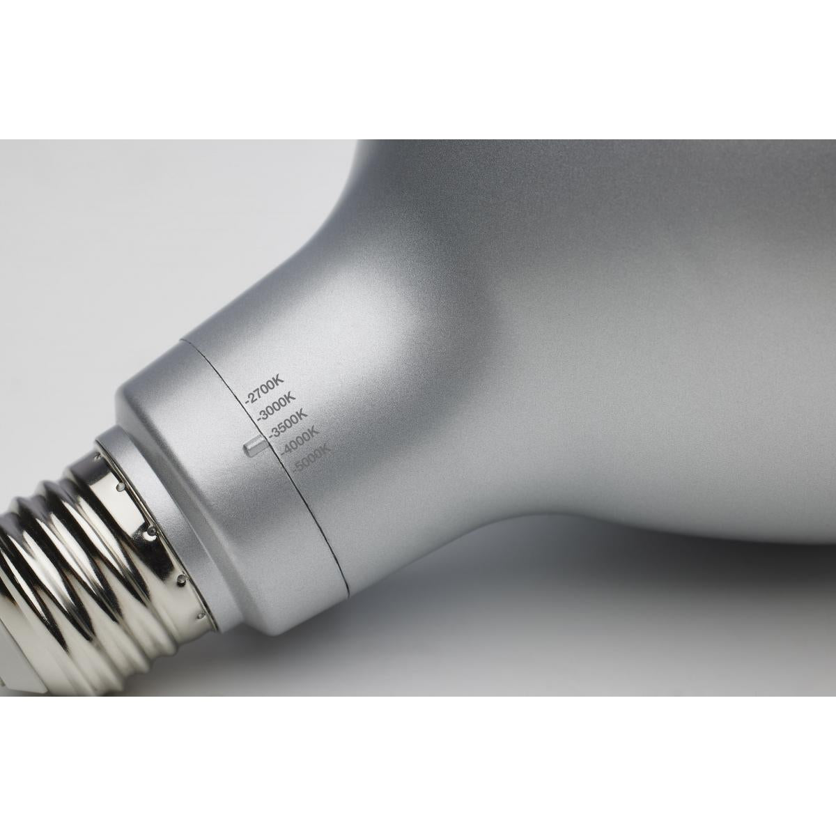 PAR38 LED Bulb, 19W, 2400 Lumens, Selectable 2700K to 5000K, E26 Base, 40° Flood, 120-277V - Bees Lighting
