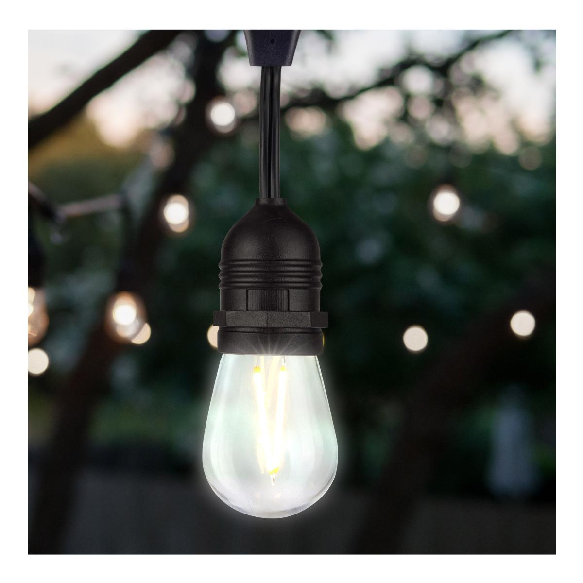 S14 Filament LED Bulb, 1W, 100lm, 2700K, E26 Medium Base, Clear Finish, Pack of 4 - Bees Lighting