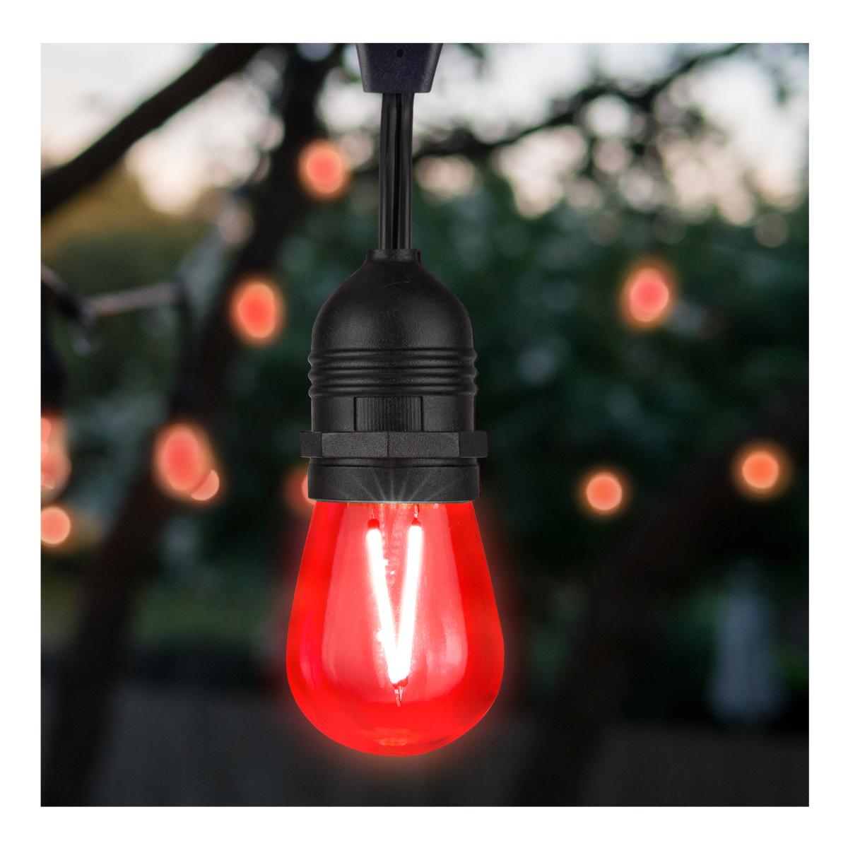 S14 Filament LED Bulb, 1W, 10lm, E26 Base, Transparent Red Finish, Pack of 4 - Bees Lighting