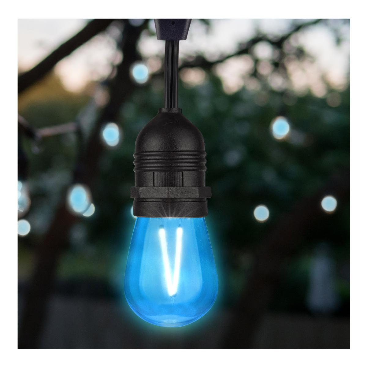 S14 Filament LED Bulb, 1W, 5lm, E26 Base, Transparent Blue Finish, Pack of 4 - Bees Lighting