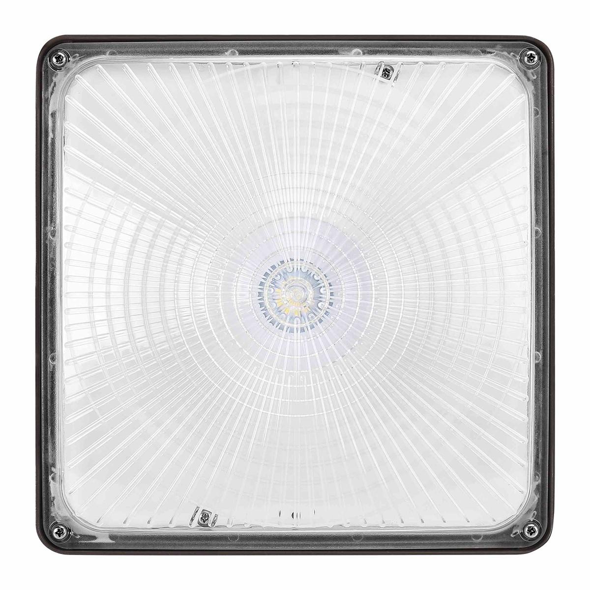 LED Canopy Light, 5500 Lumens, 40 Watts, 5000K, 120-277V - Bees Lighting