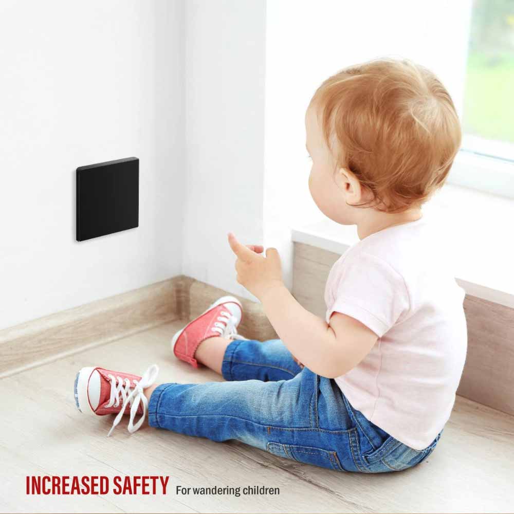 2-Gang Screwless Blank Wall Plate, Black - Bees Lighting