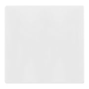 2-Gang Screwless Blank Wall Plate, White - Bees Lighting
