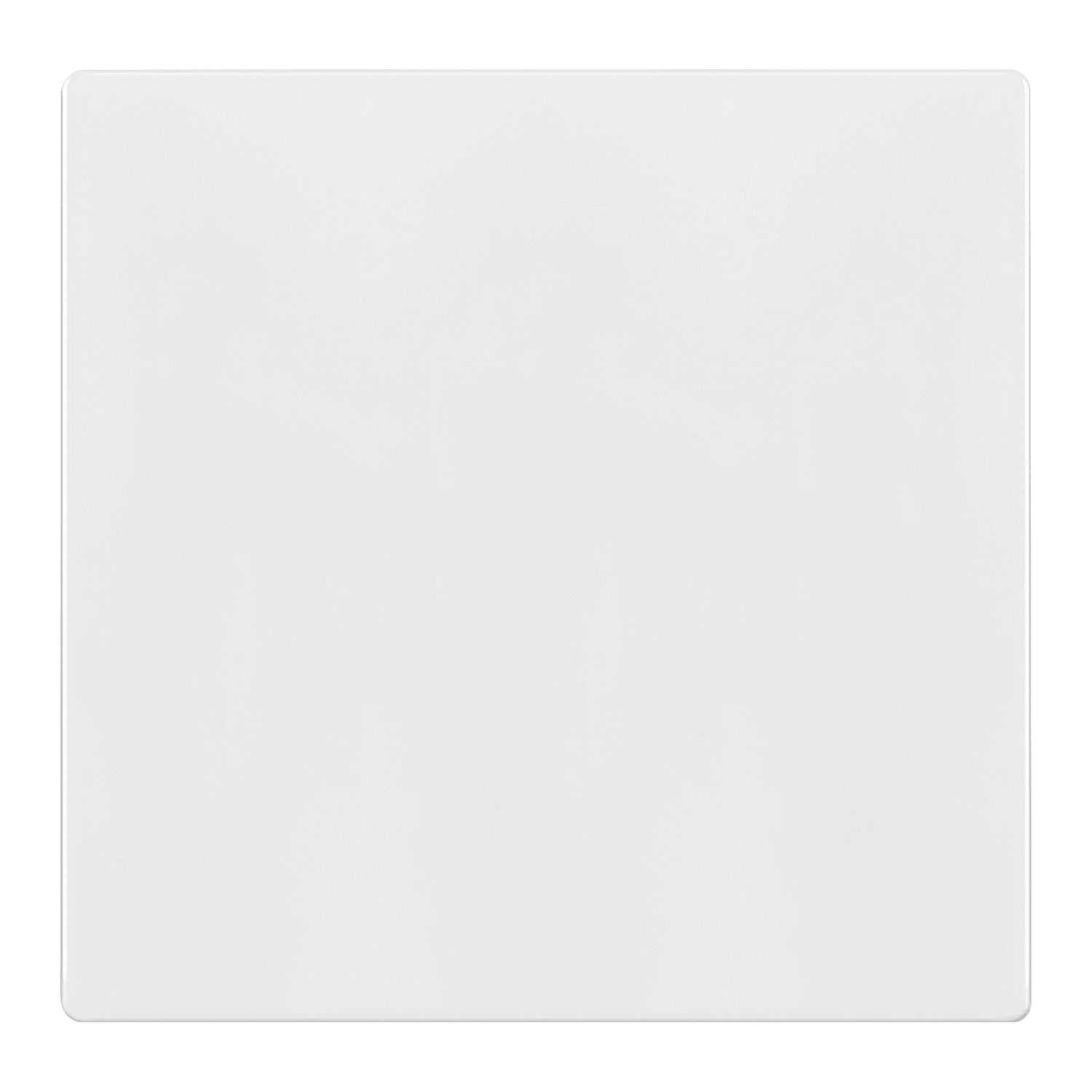 2-Gang Screwless Blank Wall Plate, White - Bees Lighting