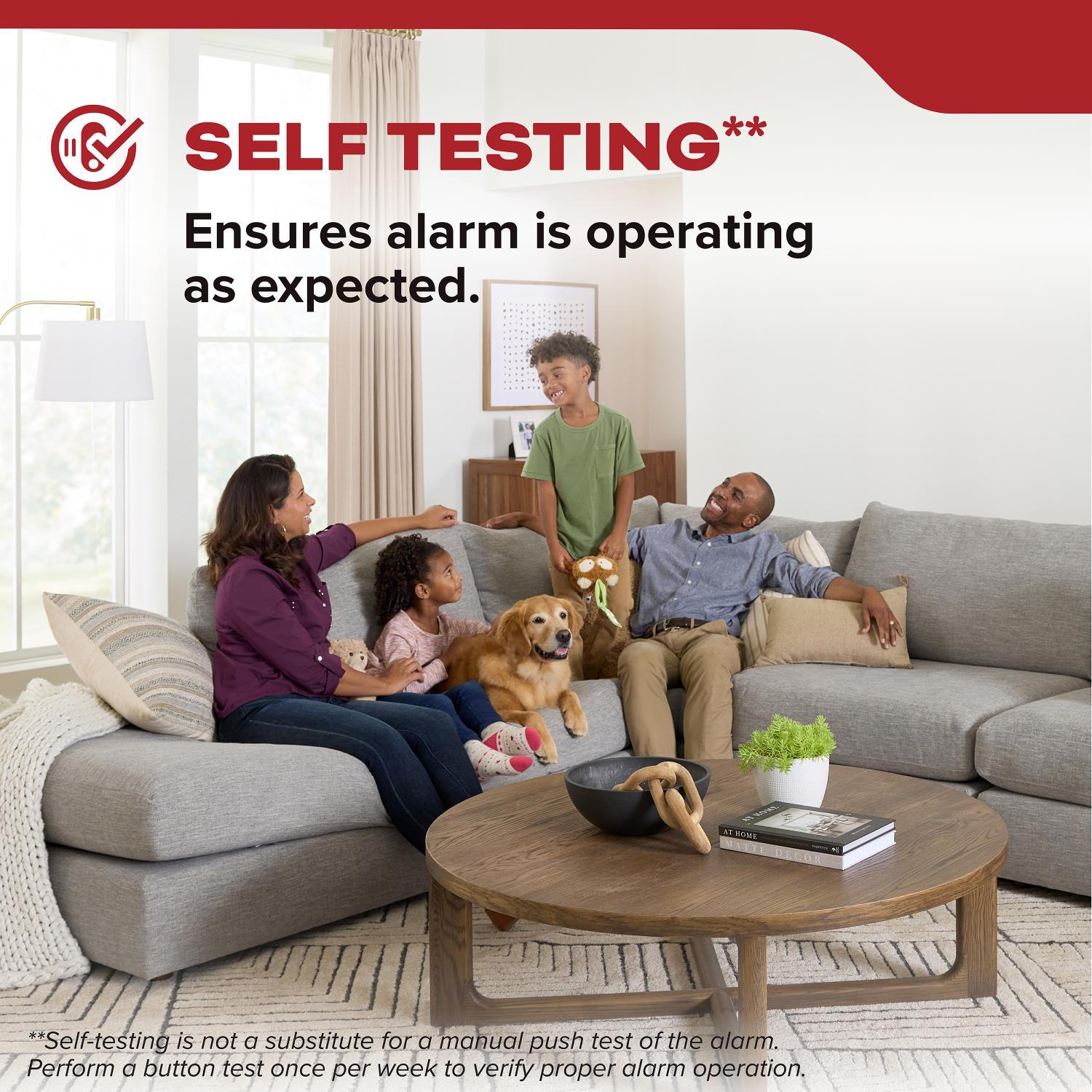 FireX Hardwired+10-Year Backup Battery Smoke Detector - Bees Lighting