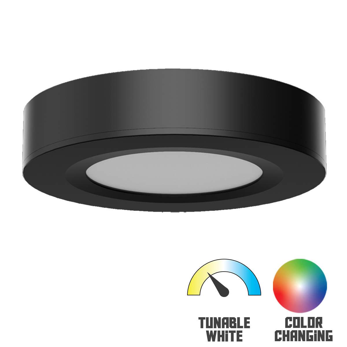 Spektrum Smart RGB+TW Puck light, Surface/Recess Mount, 24V, Black - Bees Lighting