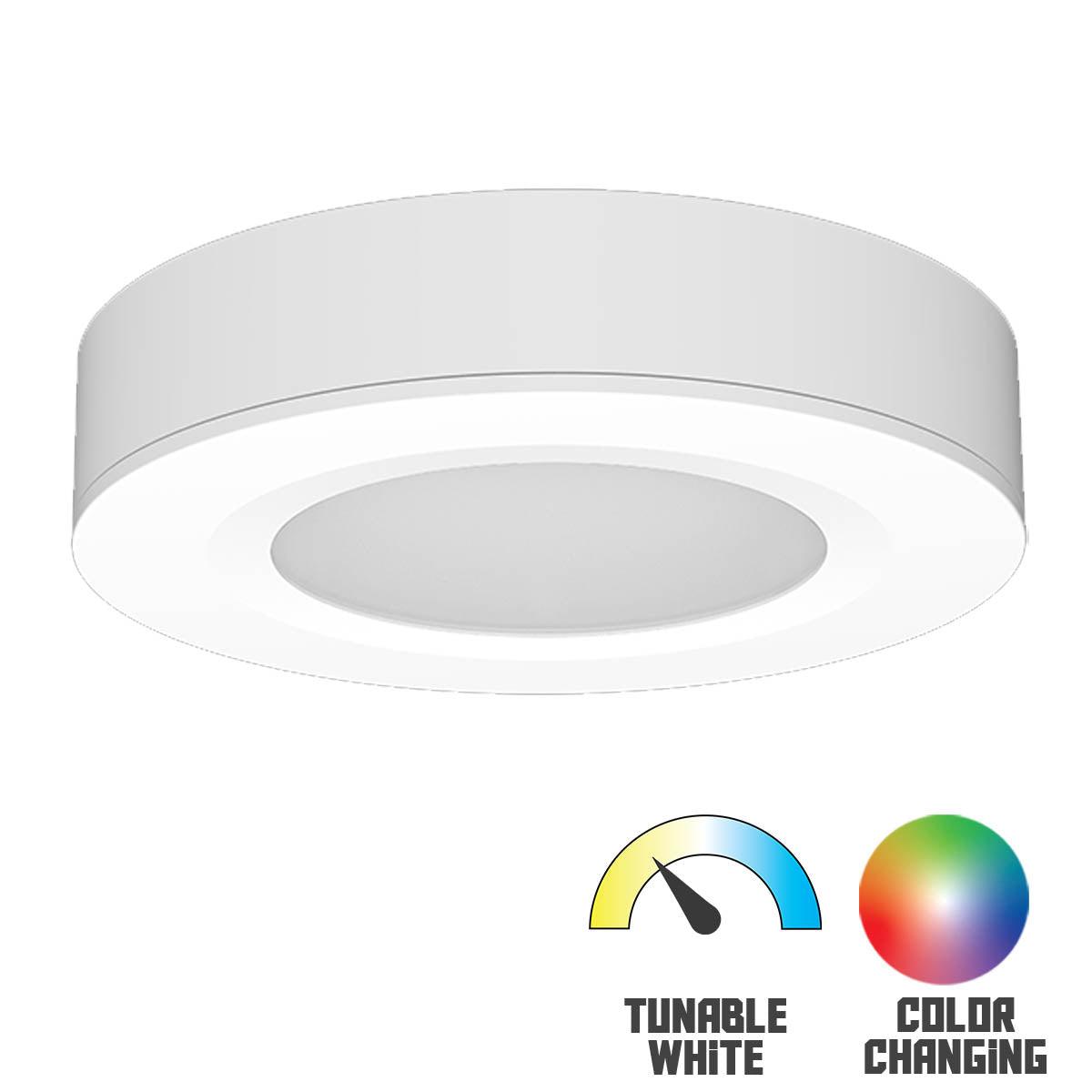 Spektrum Smart RGB+TW Puck light, Surface/Recess Mount, 24V, White - Bees Lighting