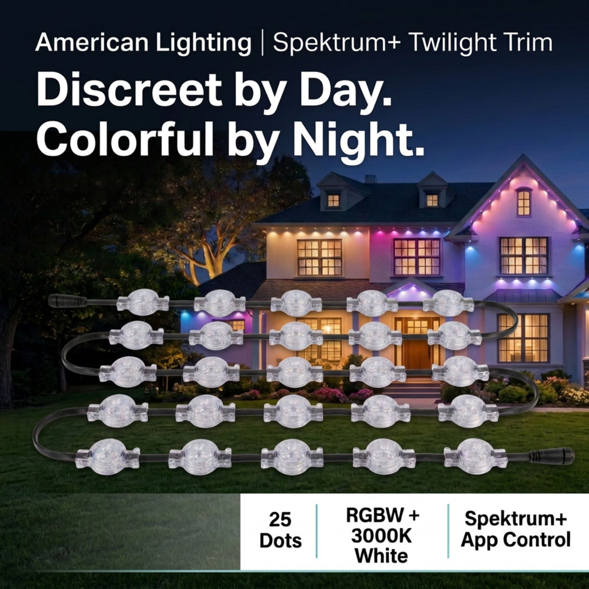 RGBW dot eave light set with clear lenses on black cable, about 25 bulbs in a loop