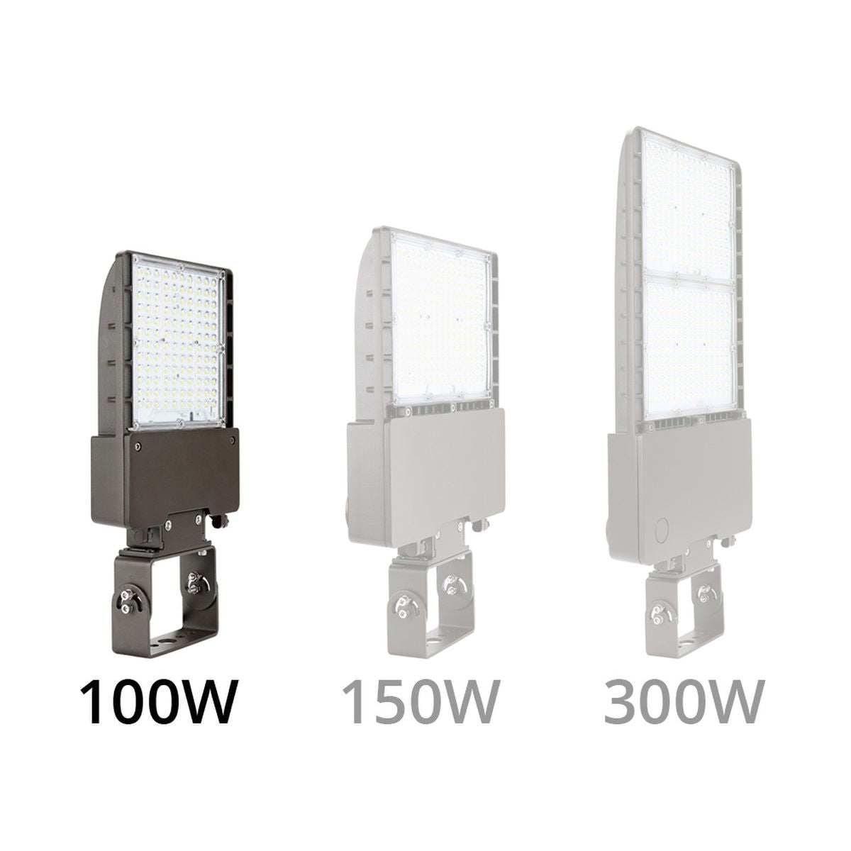 LED Flood Light, 13900 Lumens, 100 Watts, 5000K, 120-277V - Bees Lighting