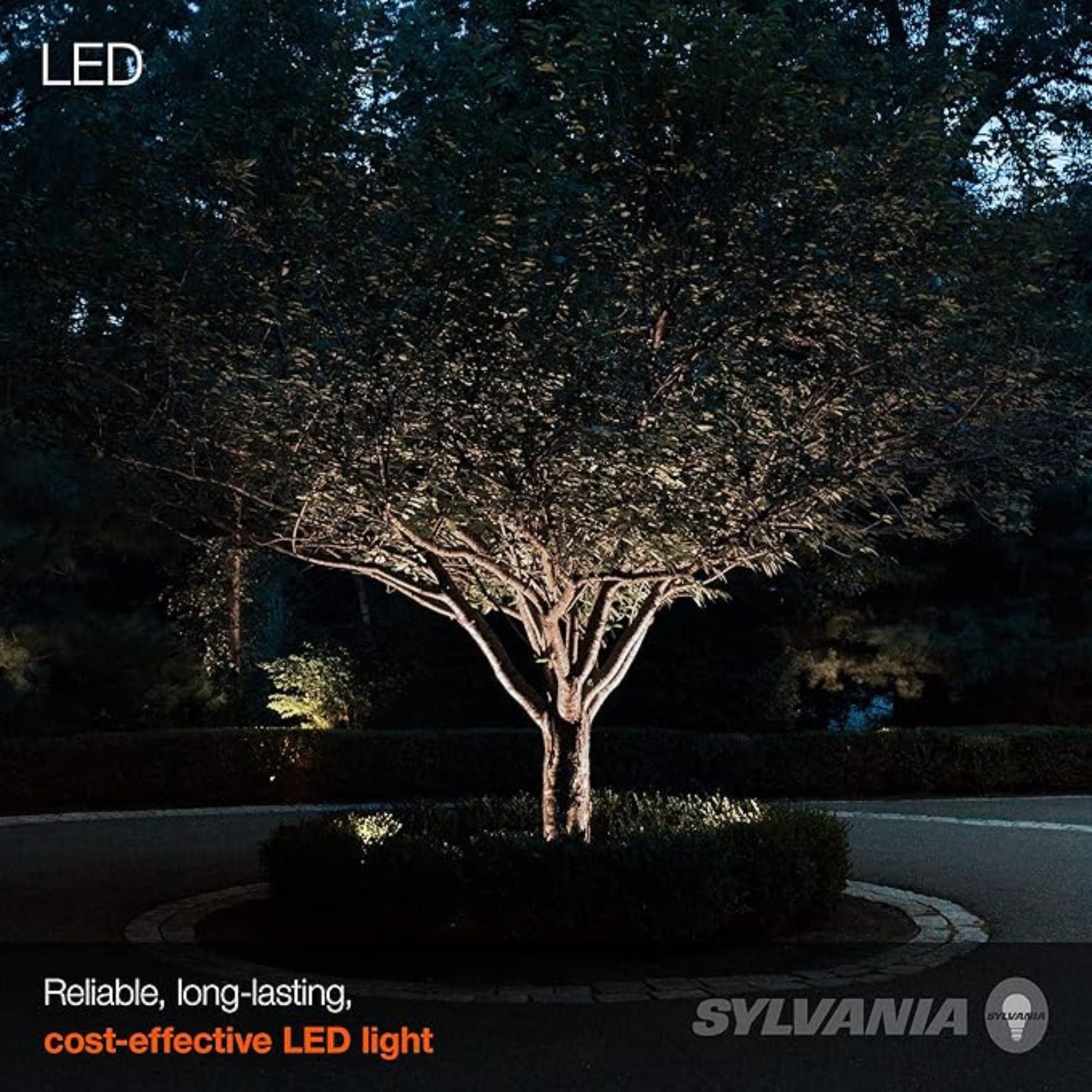 LED Bullet Flood Light, 1250 Lumens, 15W, 5000K, Knuckle Mount, 120-277V