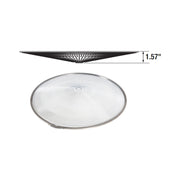 Polycarbonate Bottom Lens, For Use With 65616 or 65617 - Bees Lighting