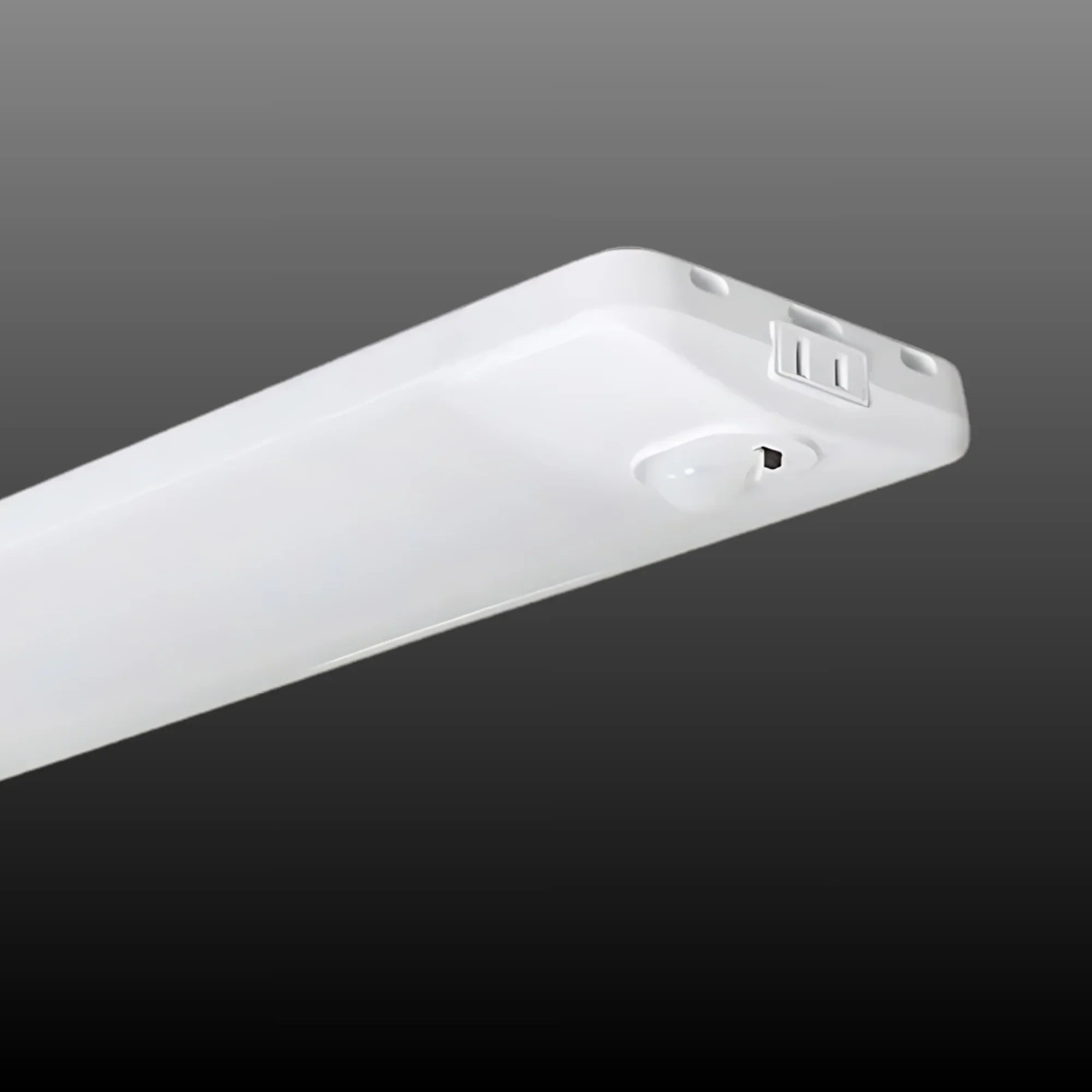 LEDVANCE Sylvania 61455: 4ft LED Shop Light | PIR Sensor | Bees