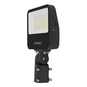 LEDVANCE Performance Class Dual Selectable Floodlight - Bees Lighting