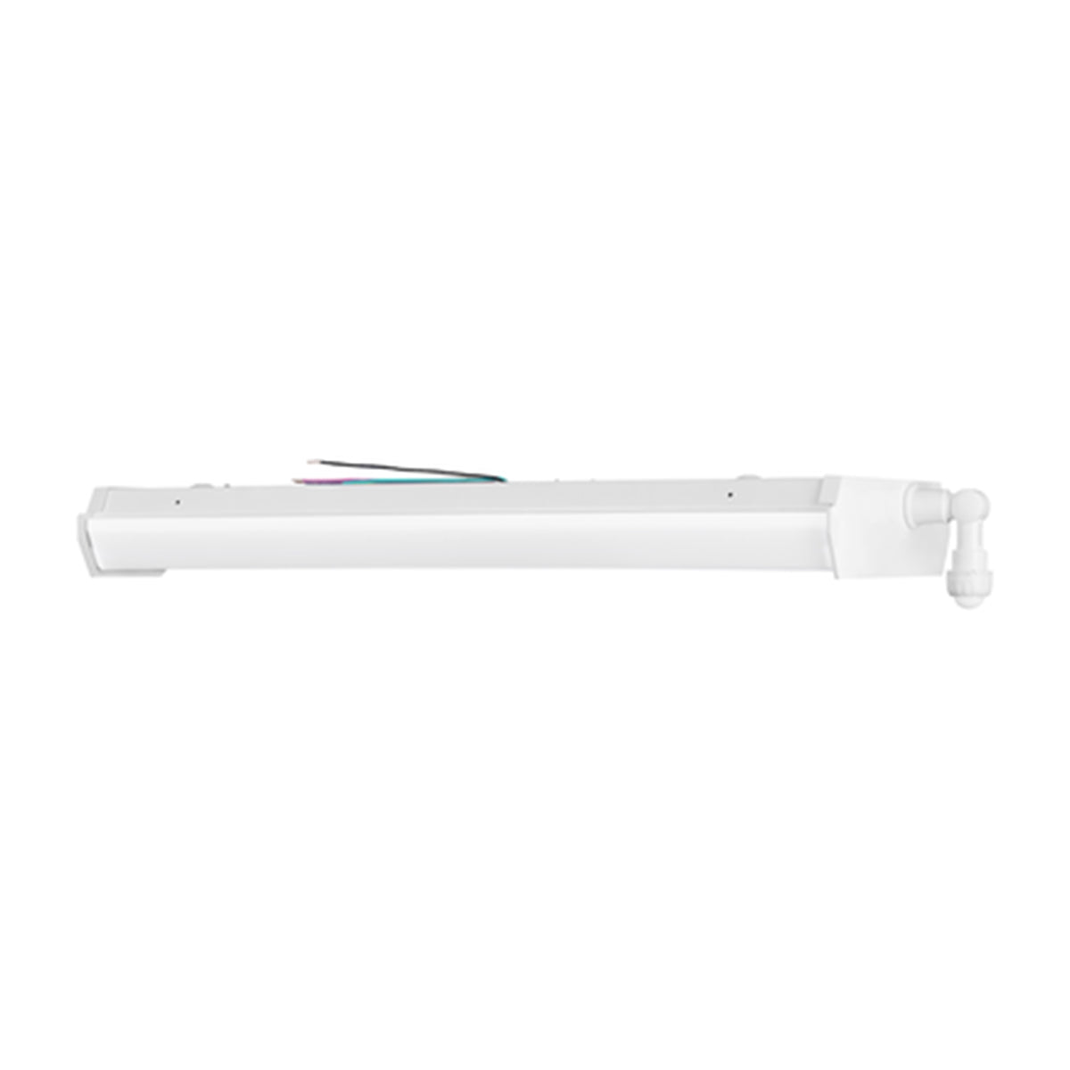 4ft LED Wraparound Light, 30/60W, 8400 Lumens, 35K/40K/50K, 120-347V - Bees Lighting