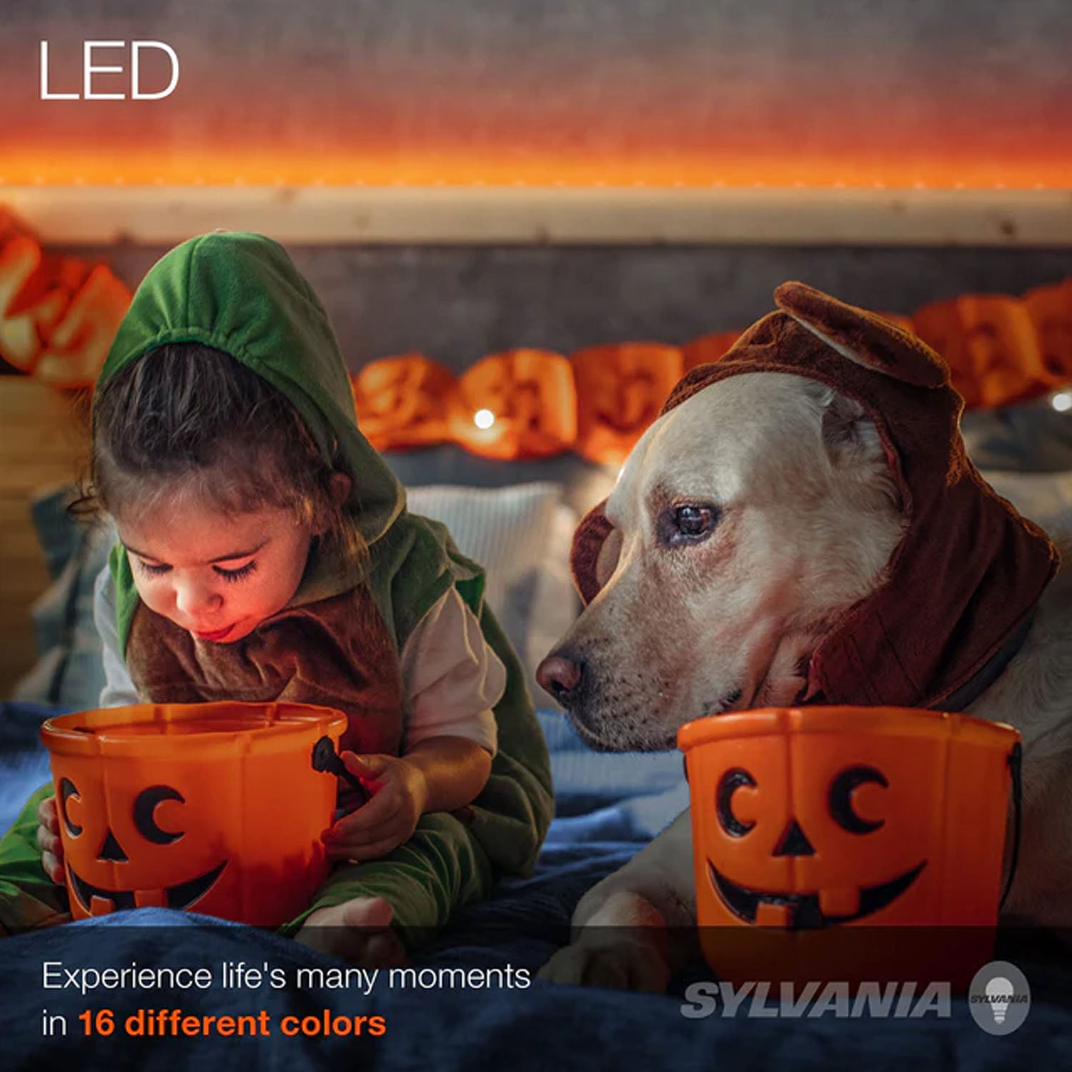 Sylvania 32Ft RGB Flexible Light Strip Starter Kit, 16 Dimmable Colors with RF Remote Control - Bees Lighting