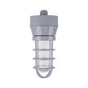 LEDVANCE Sylvania Performance 66823 Hazardous Location Jelly Jar 2200 Lumens 20W 5000K 120-347V Ceiling/Pendant Mount Gray