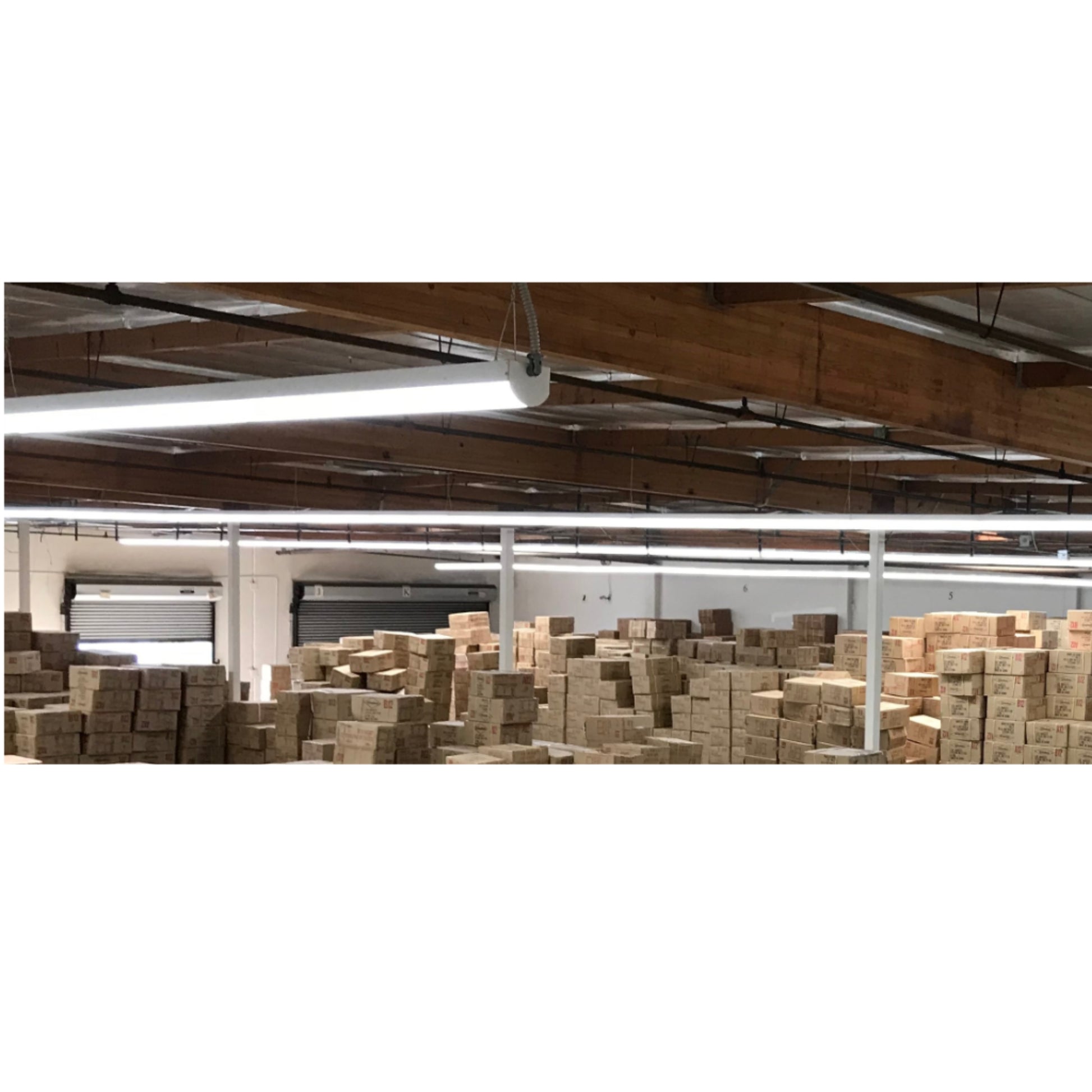 STW200 LED Strip Light, Surface-mounted/Suspended 5" Wide Strip - Bees Lighting