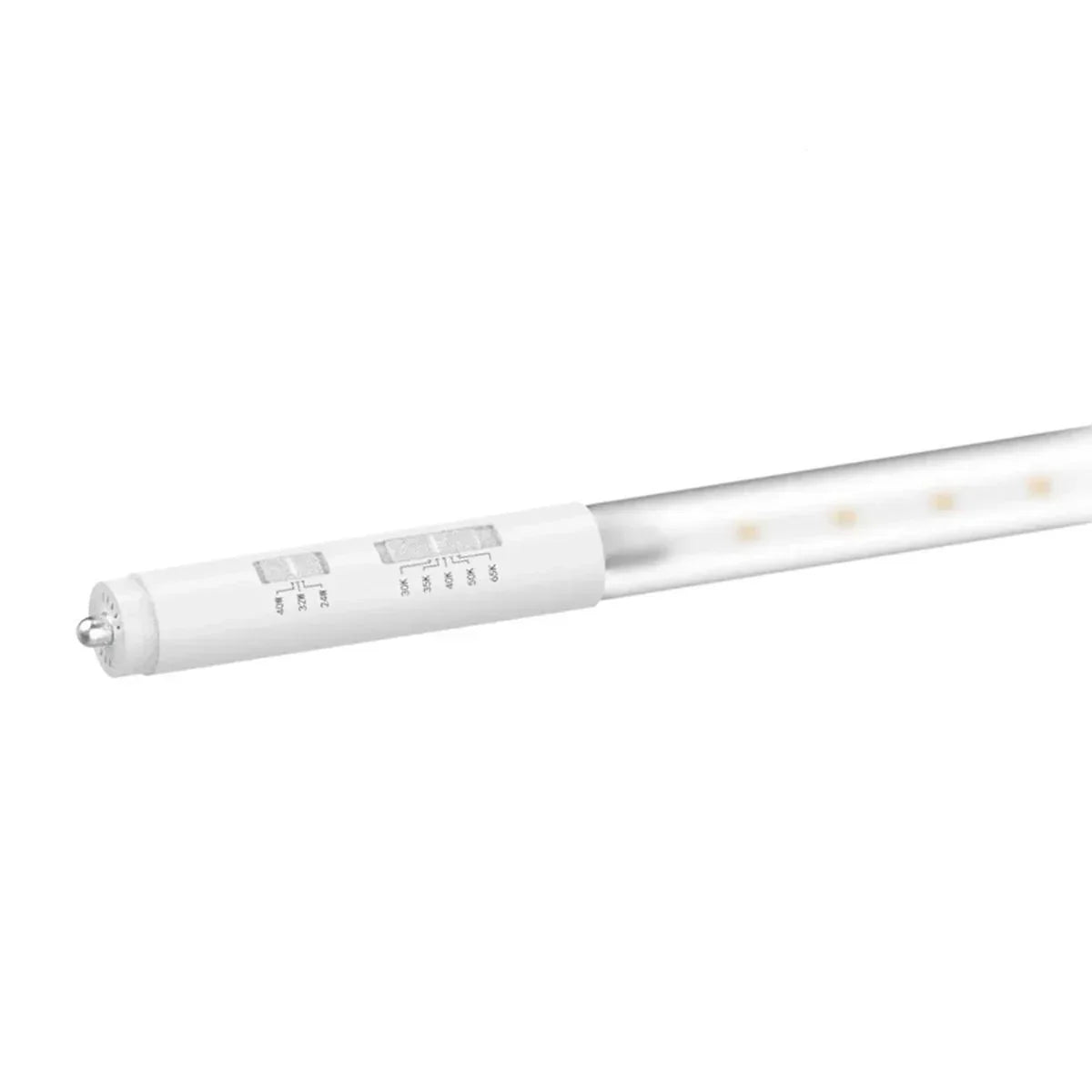 RAB 8ft LED T8 Tube, Interchangeable Bases R17d Or FA8 | Bees Lighting