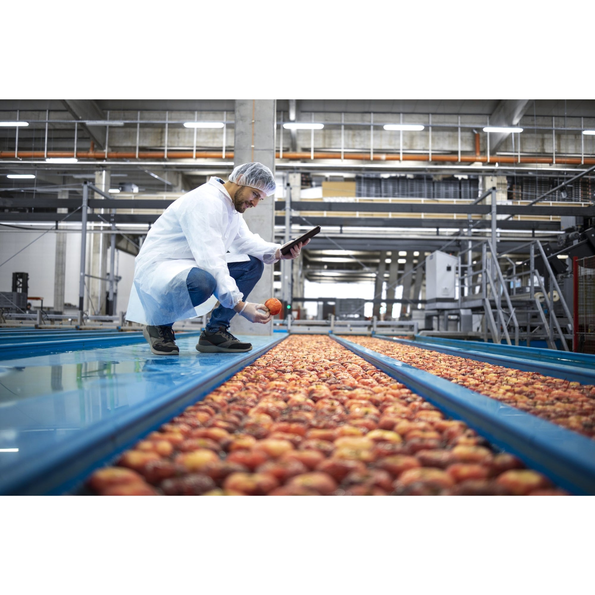 4ft LED Shop Light Vapor Tight with 2 T8 LED Tubes, 4000 Lumens, Ballast-Free, IP65