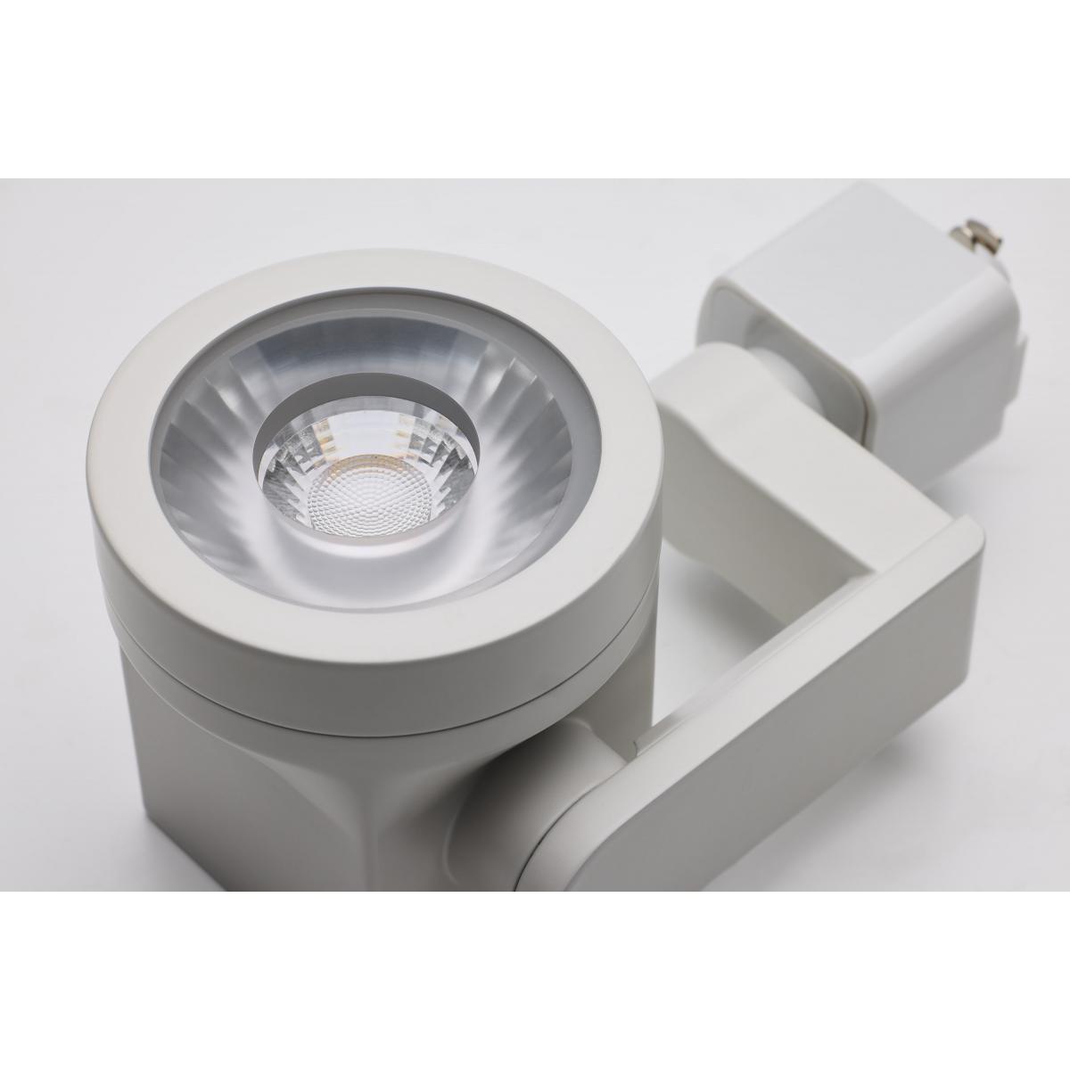 LED Lantern Style Track Head 12W 1000 Lumens 3000K, Halo, 24°, White - Bees Lighting