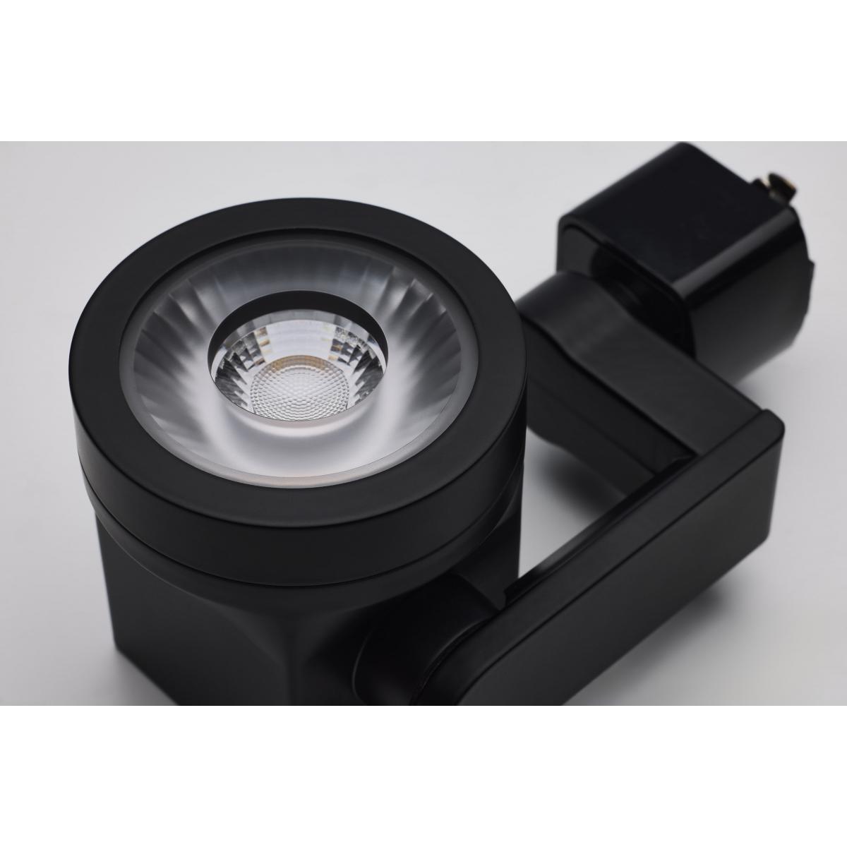 LED Lantern Style Track Head 12W 1000 Lumens 3000K, Halo, 24°, Black - Bees Lighting