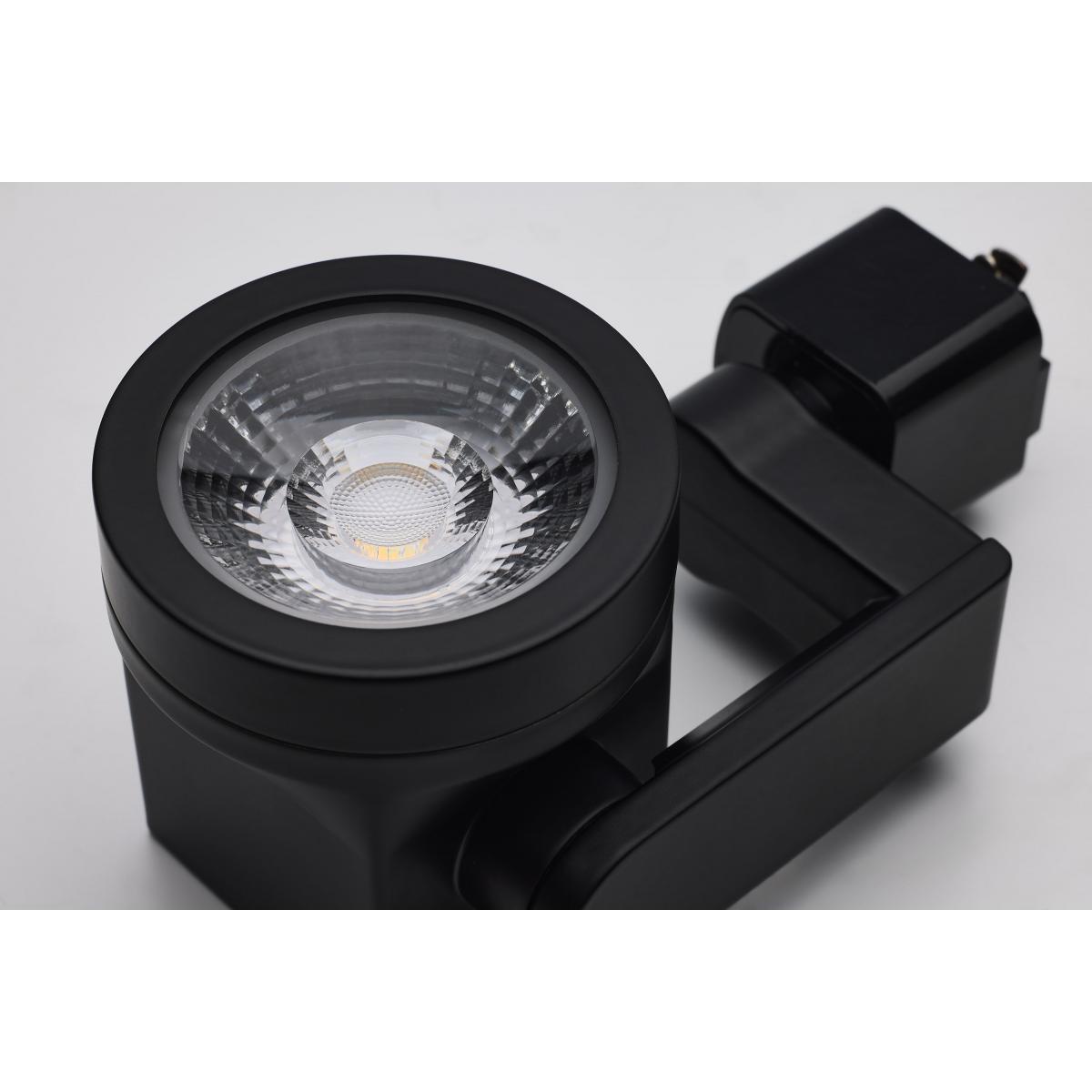 LED Lantern Style Track Head 12W 1000 Lumens 3000K, Halo, 36°, Black - Bees Lighting