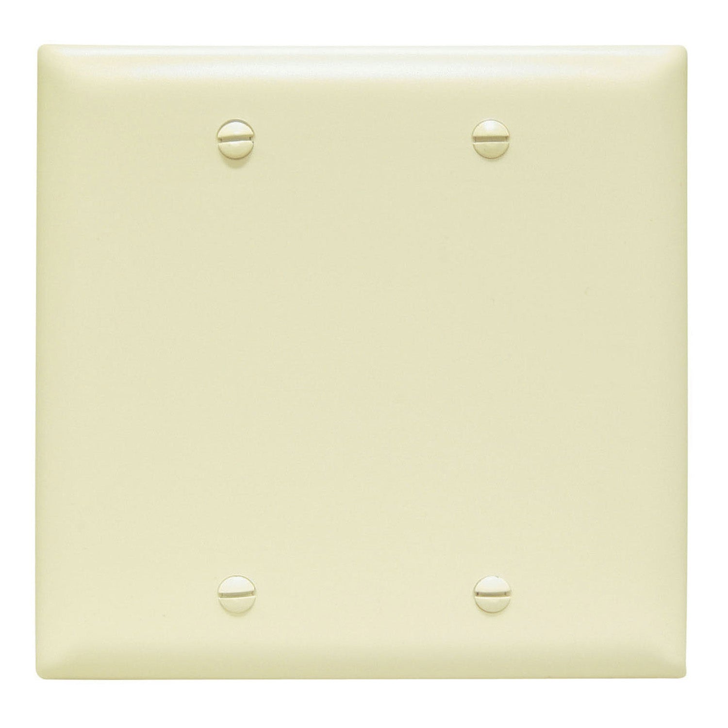 TradeMaster 2-Gang Blank Wall Plate, Box Mounted, Ivory - Bees Lighting