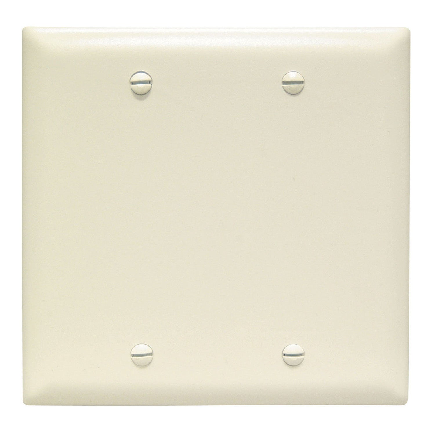 TradeMaster 2-Gang Blank Wall Plate - Bees Lighting