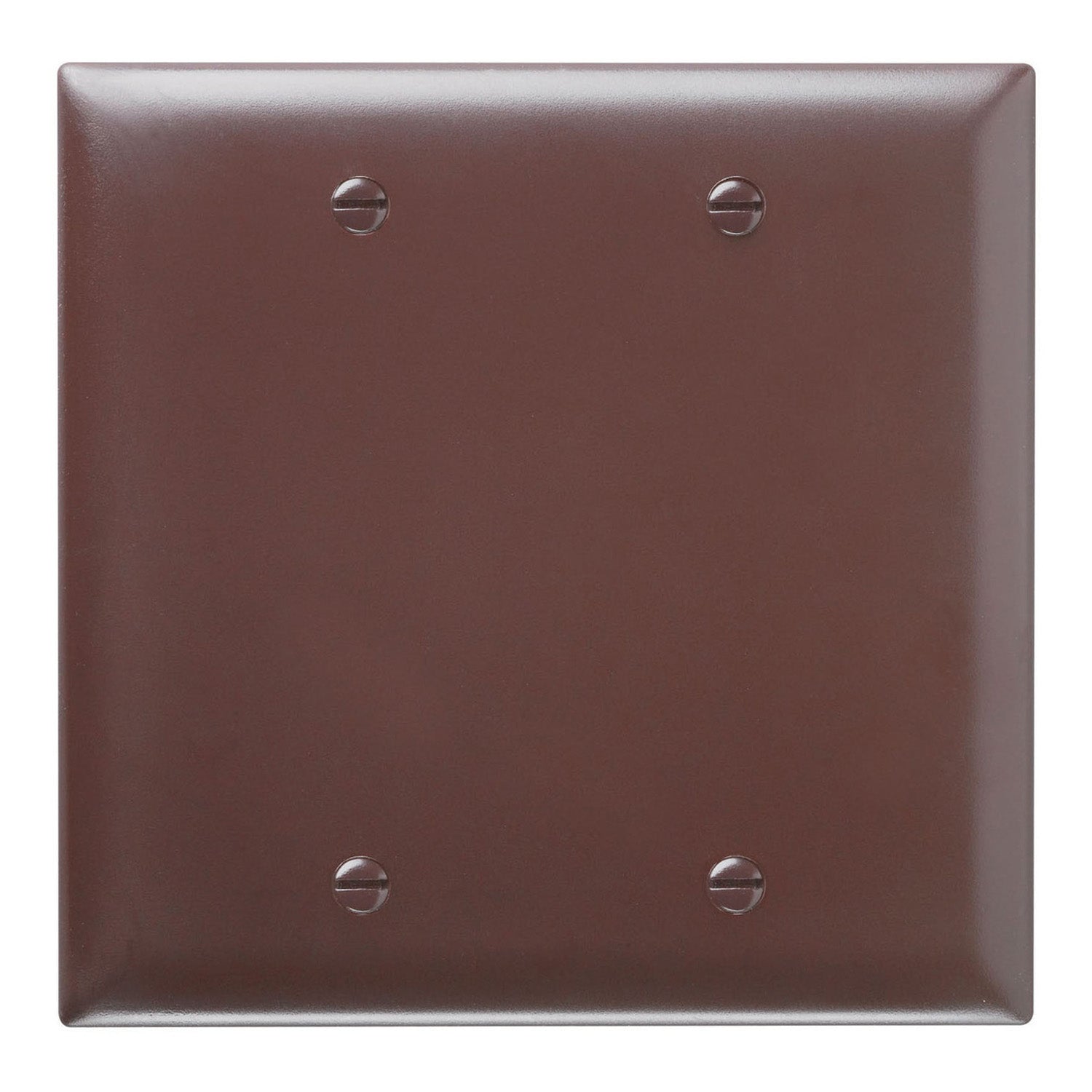 TradeMaster Blank Wall Plate - Bees Lighting