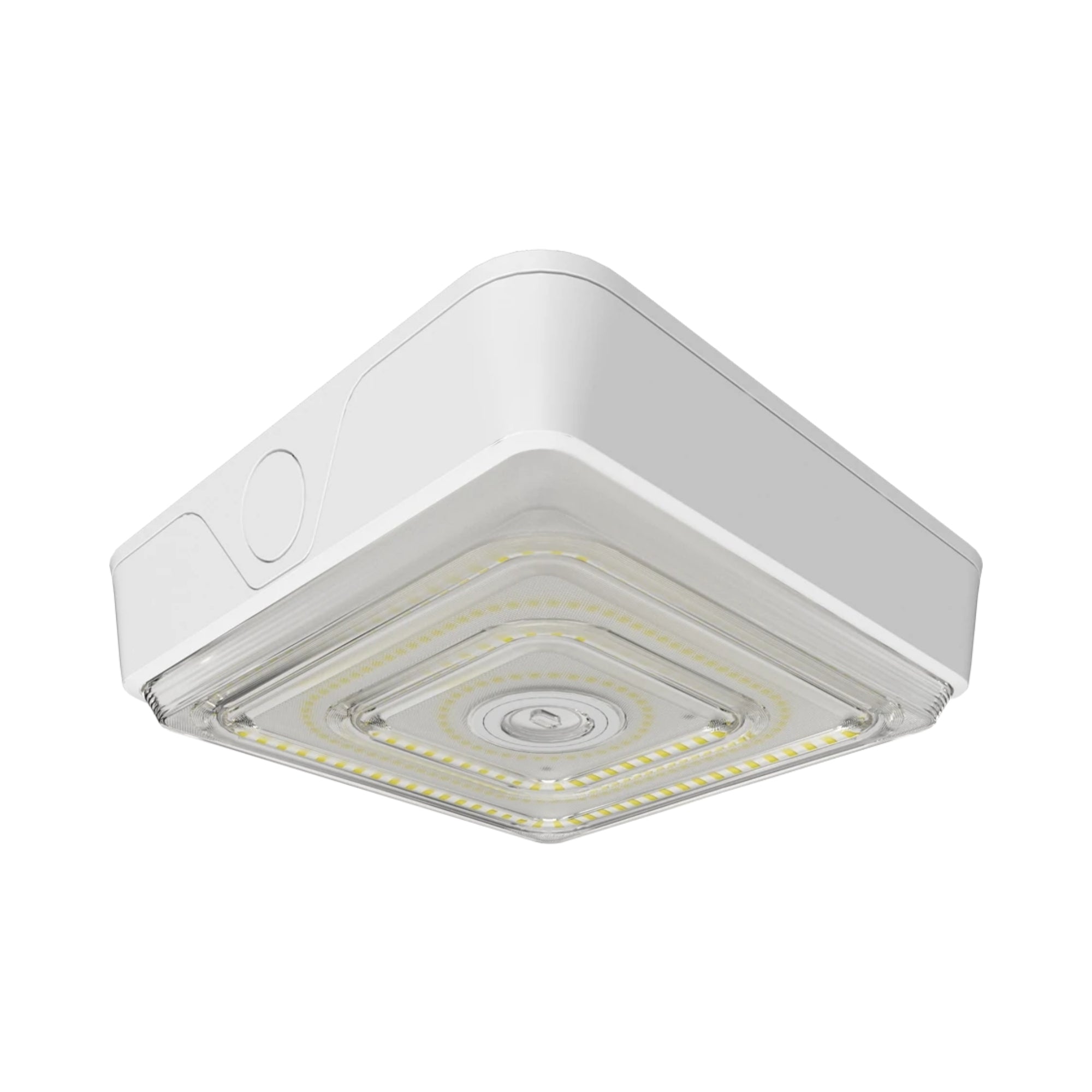 RAB VAN40/VAN40W/VAN75/VAN75W Field Adjustable LED Canopy Light Selectable Wattage & Optics 120-277V Bronze/White