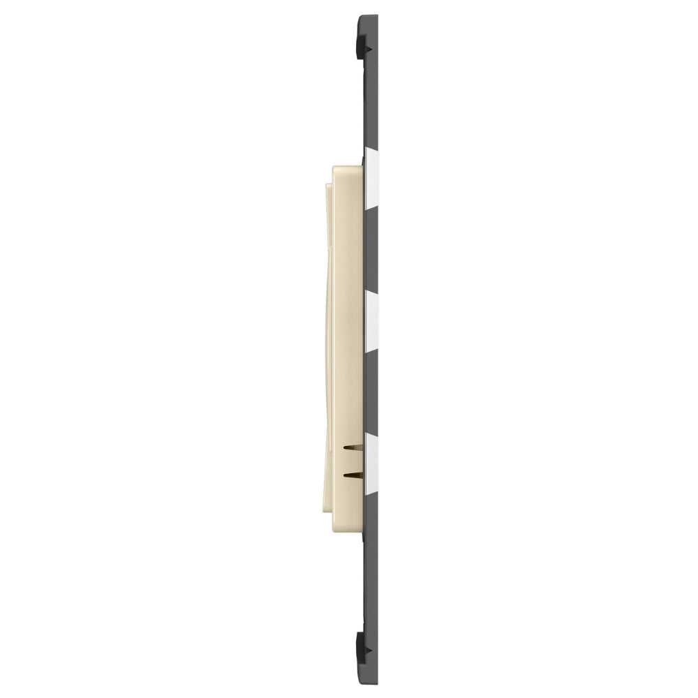 radiant Netamo Wireless Companian Dimmer, Light Almond - Not For Standalone Use - Bees Lighting