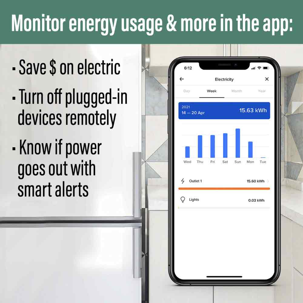 Radiant 15 Amp Smart Outlet with Netatmo