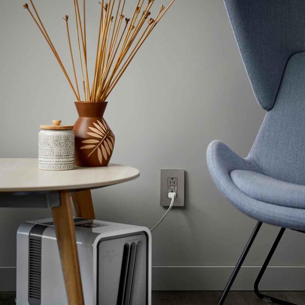 radiant 15A Smart Outlet with Netatmo, Nickel - Bees Lighting